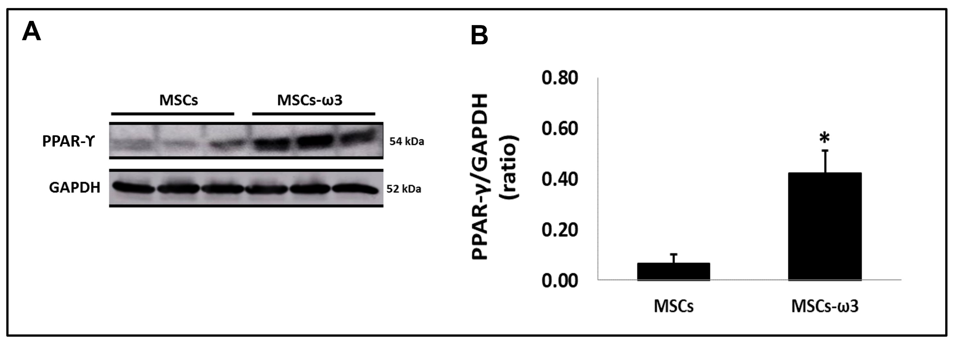 Pharmaceuticals 16 01484 g002