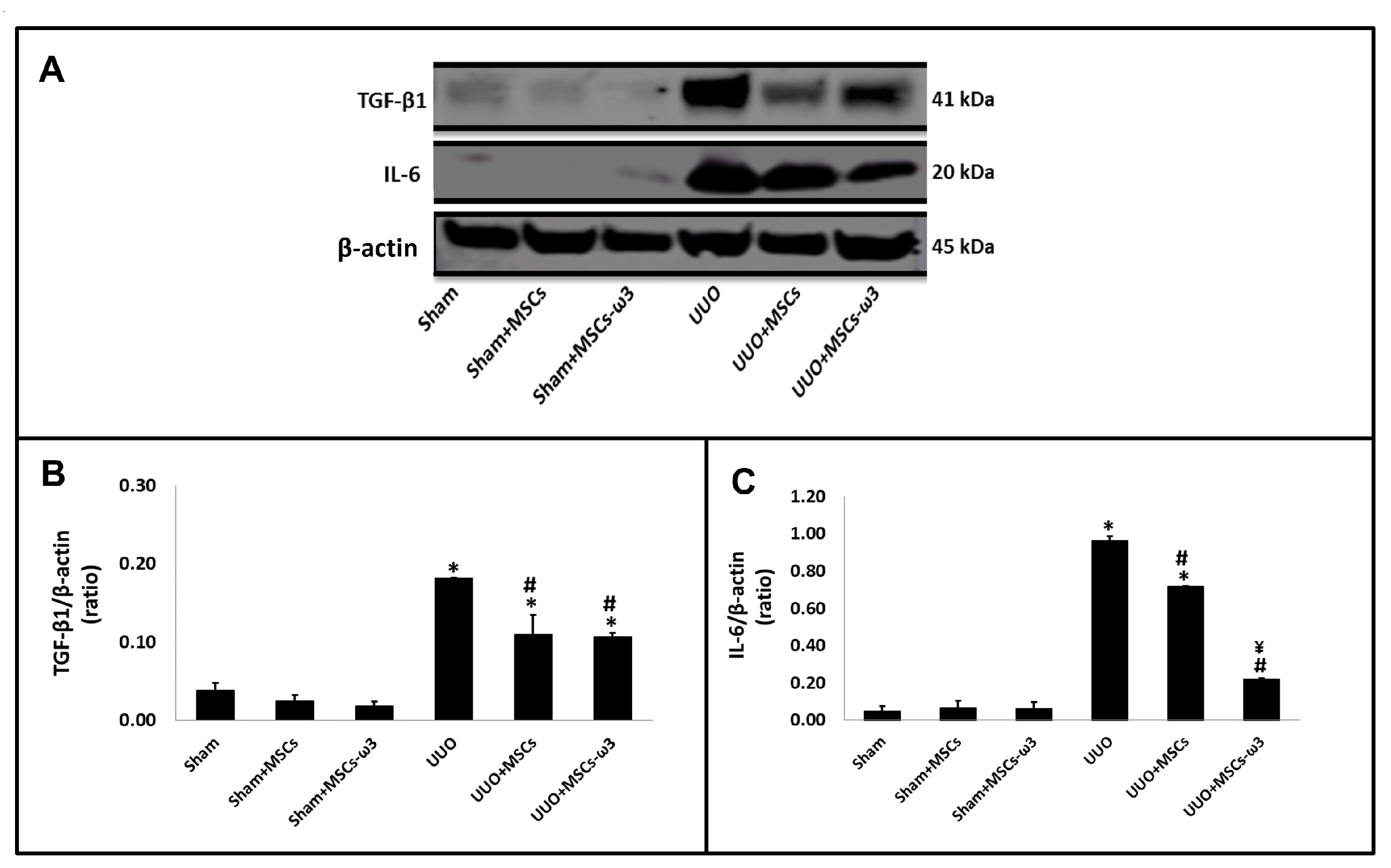 Pharmaceuticals 16 01484 g004