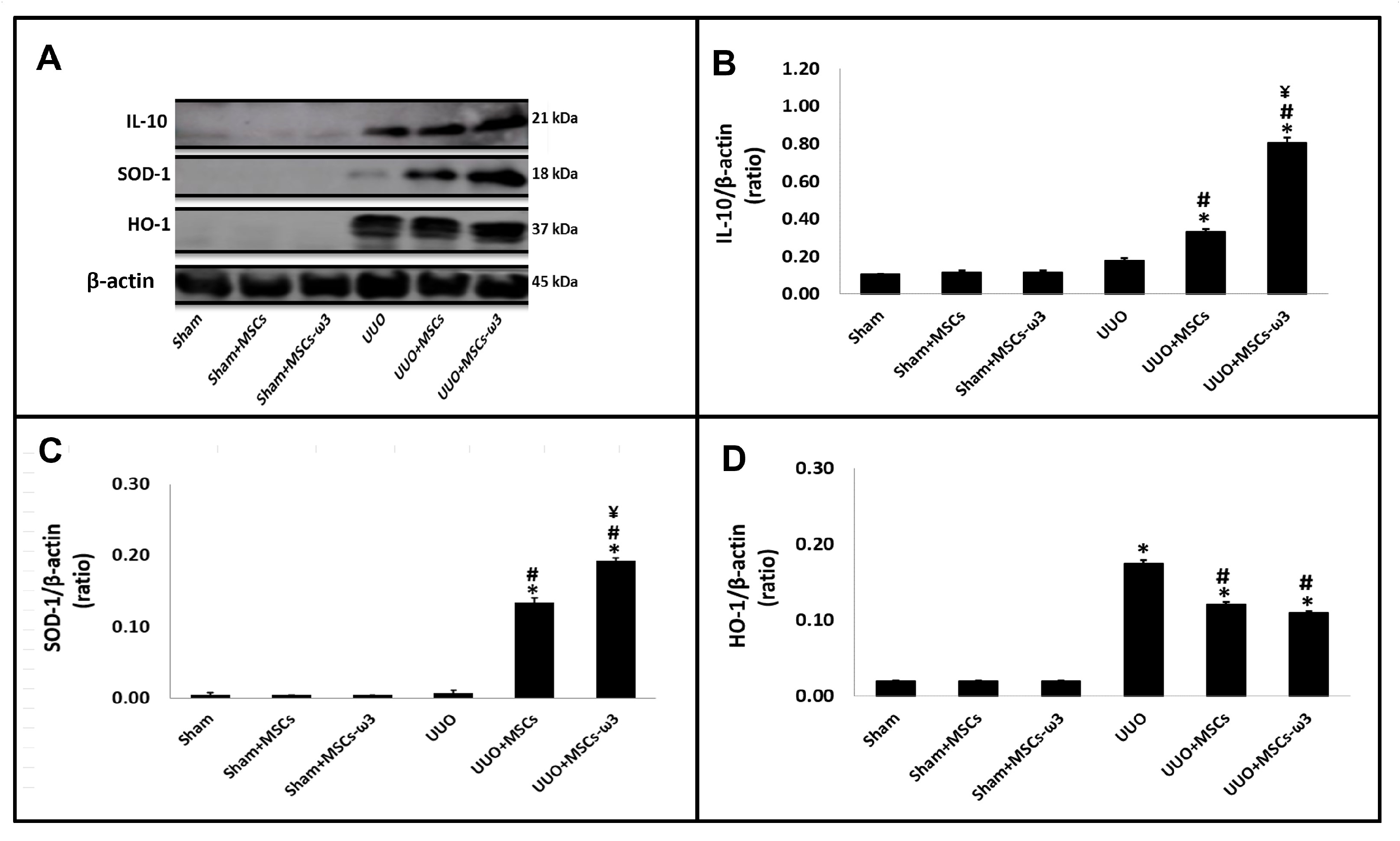 Pharmaceuticals 16 01484 g005