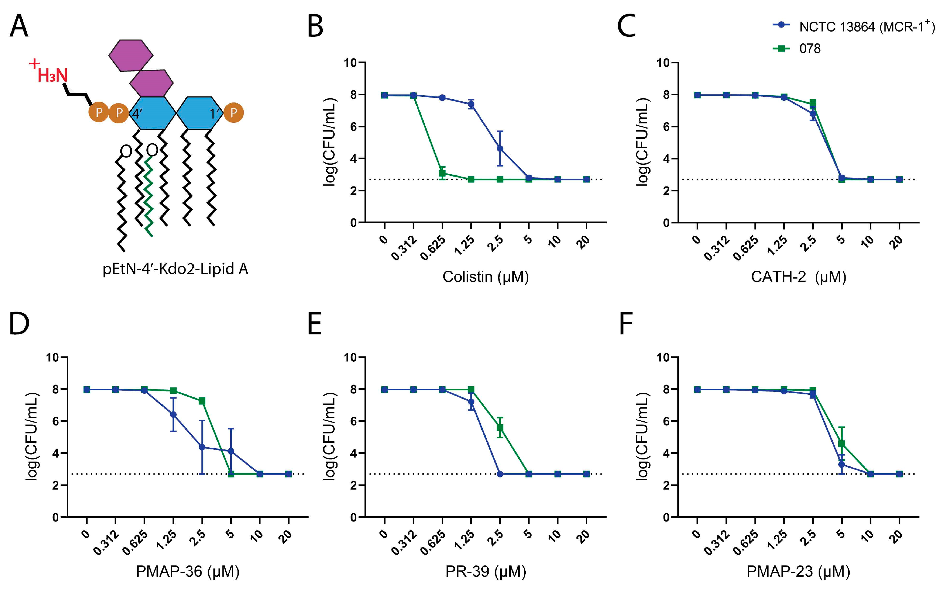 Pharmaceuticals 16 01485 g002