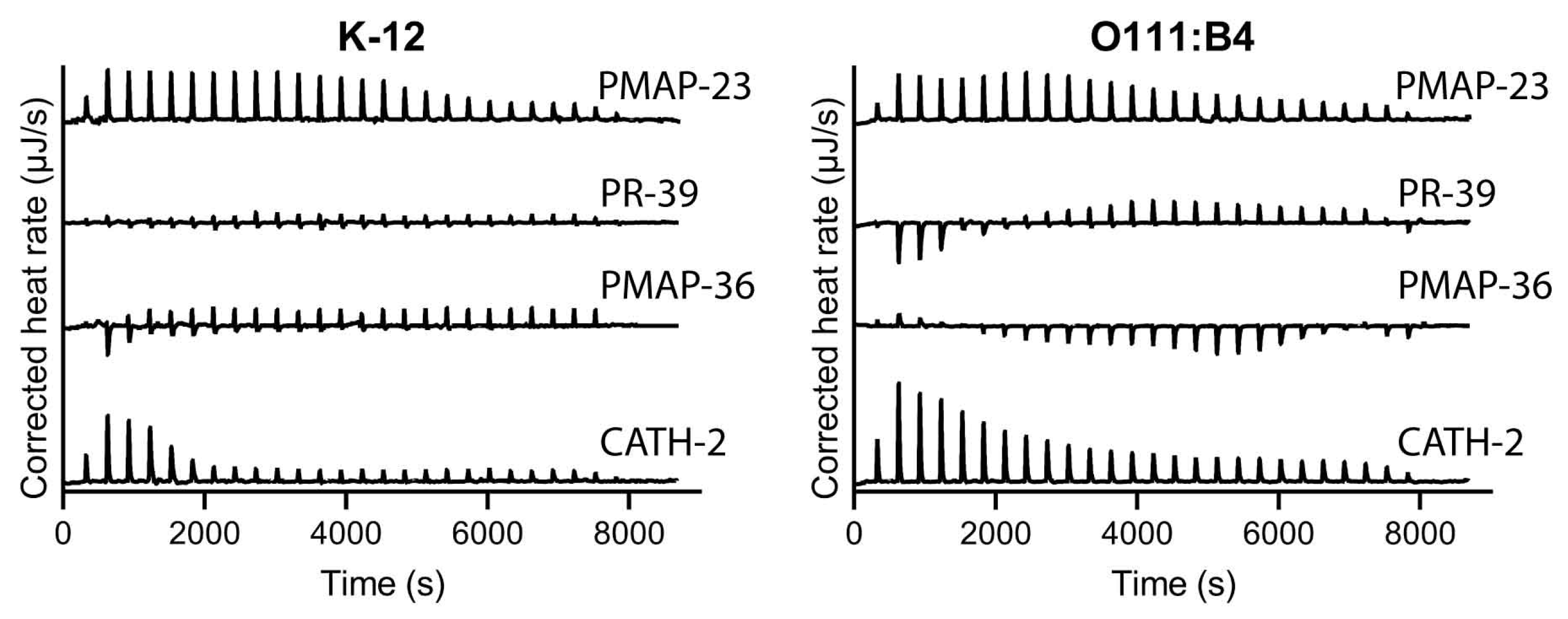 Pharmaceuticals 16 01485 g005