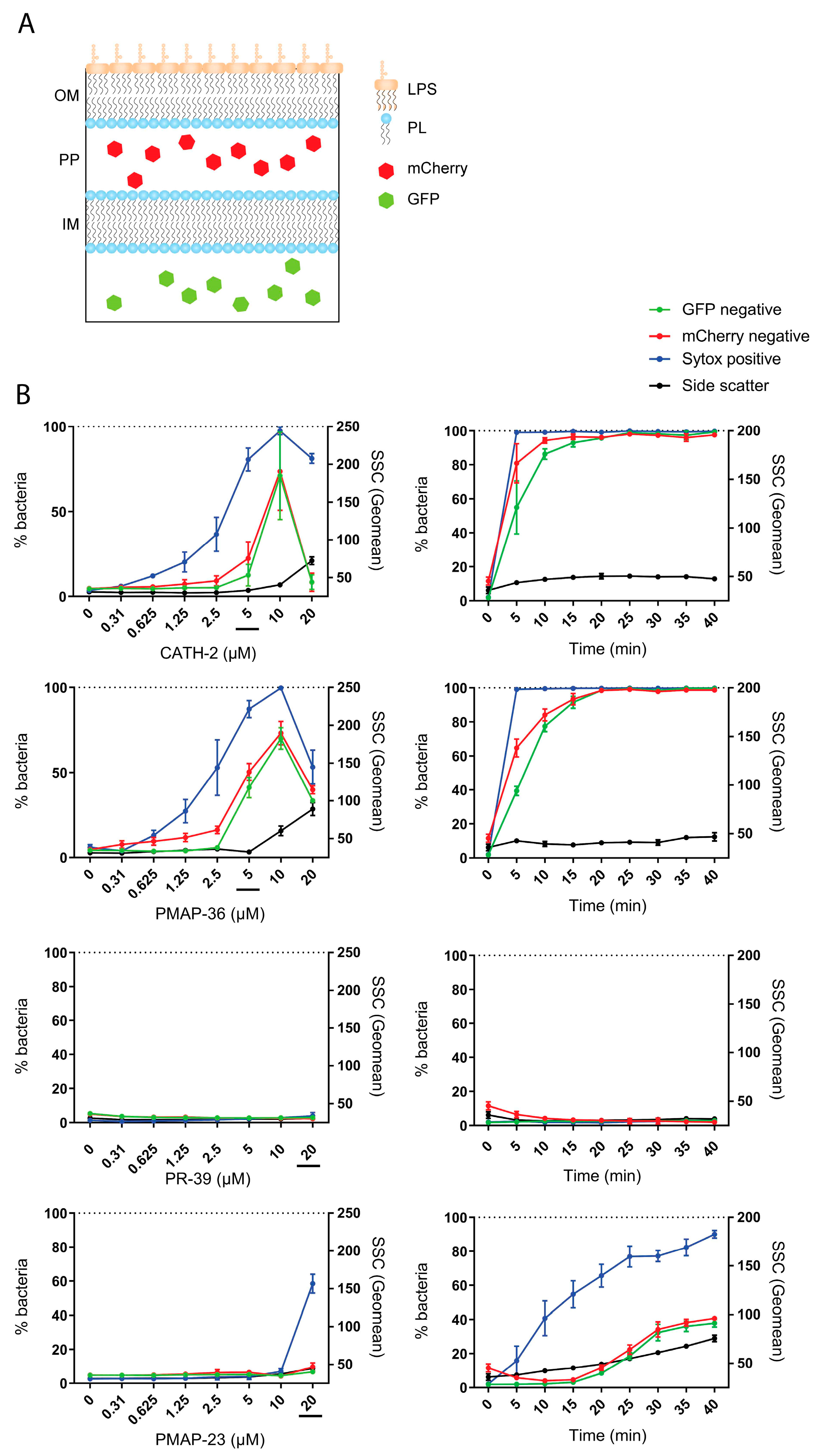 Pharmaceuticals 16 01485 g007