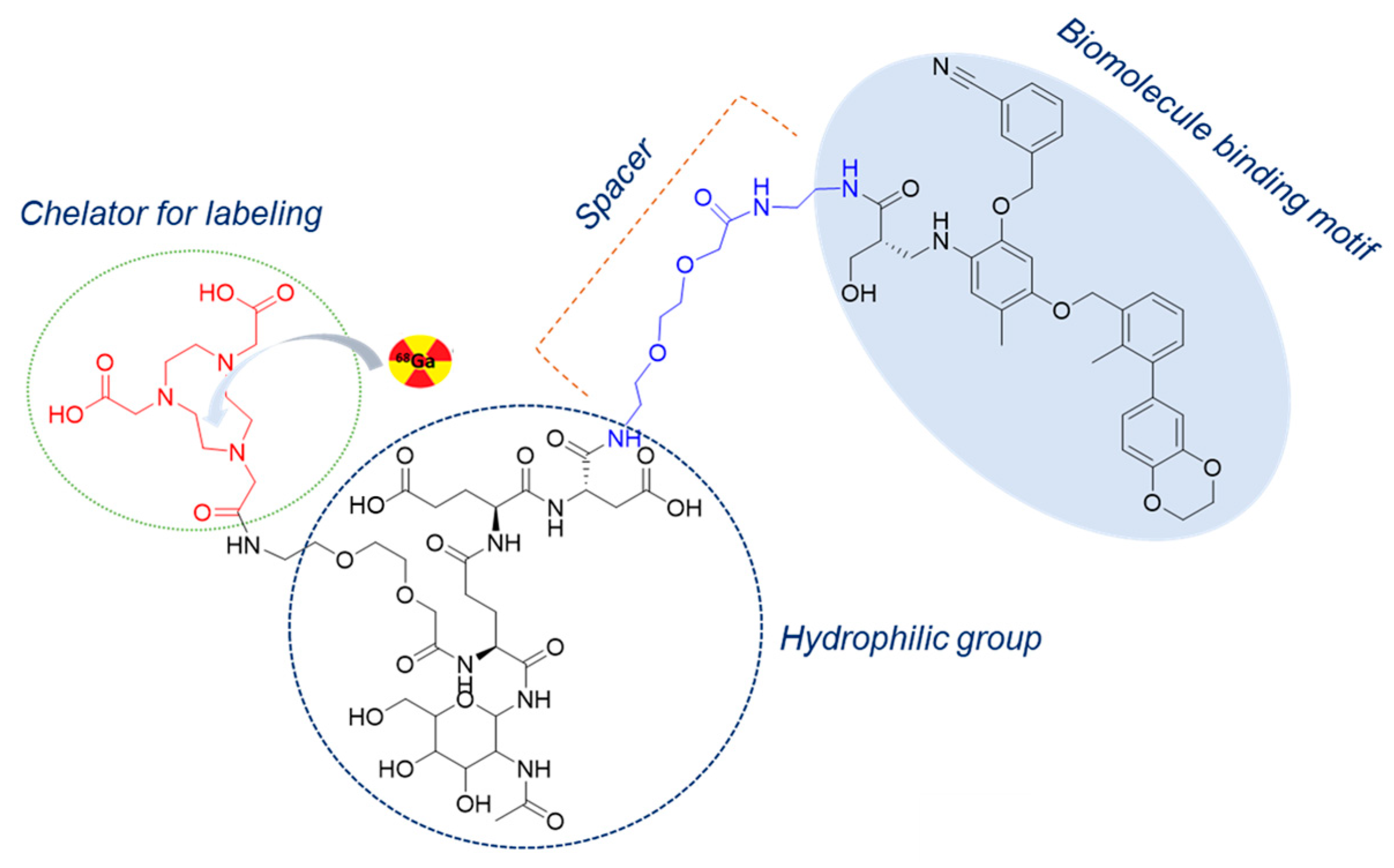 Pharmaceuticals 16 01487 g001