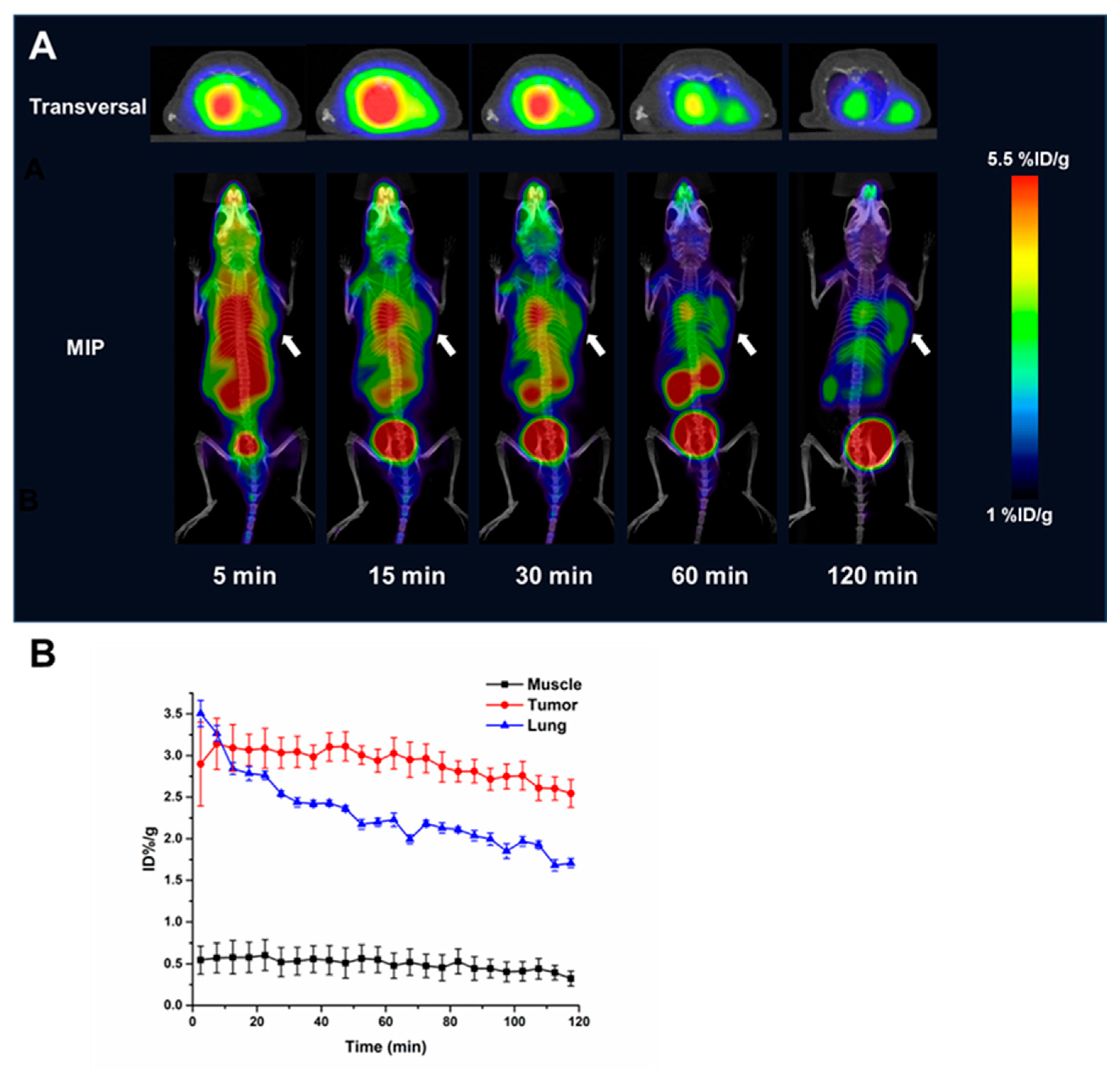Pharmaceuticals 16 01487 g004