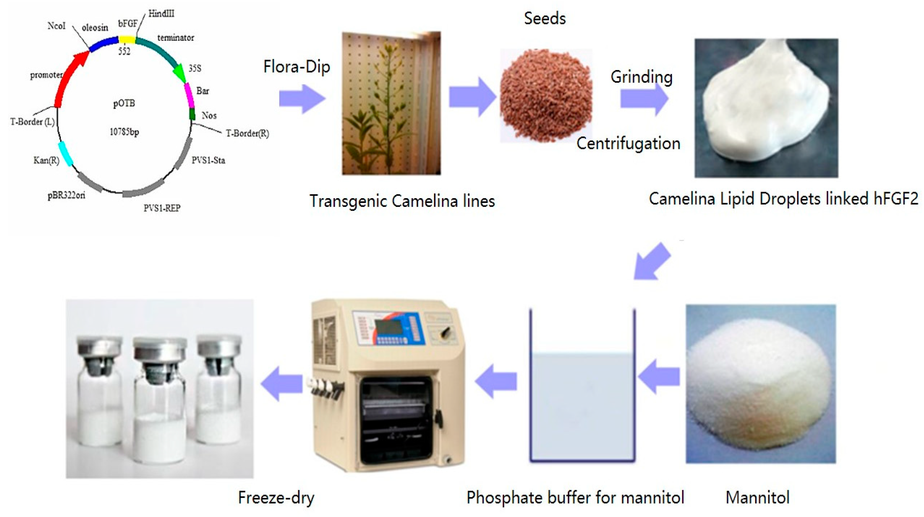 Pharmaceuticals 16 01492 g001