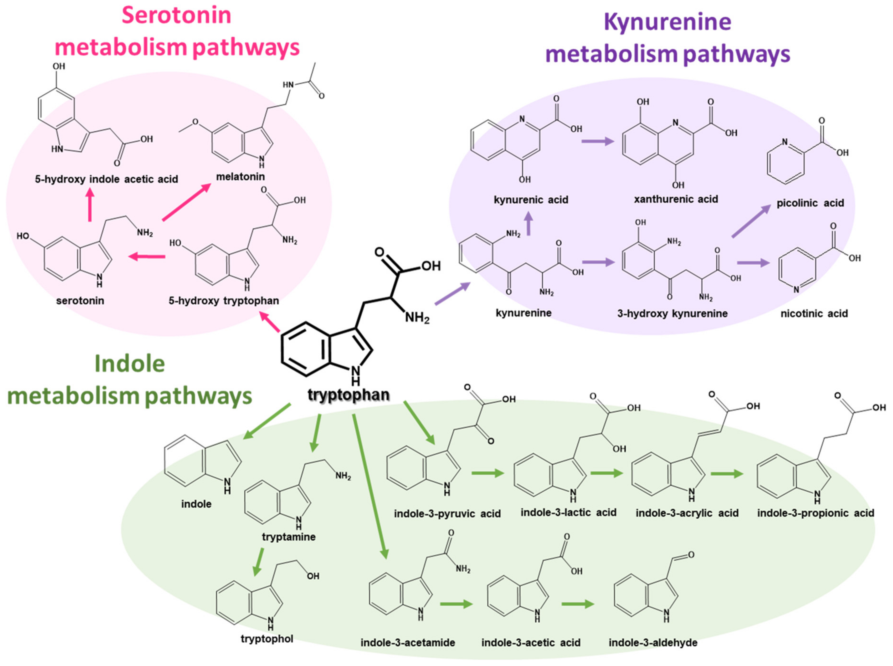 Pharmaceuticals 16 01495 g001