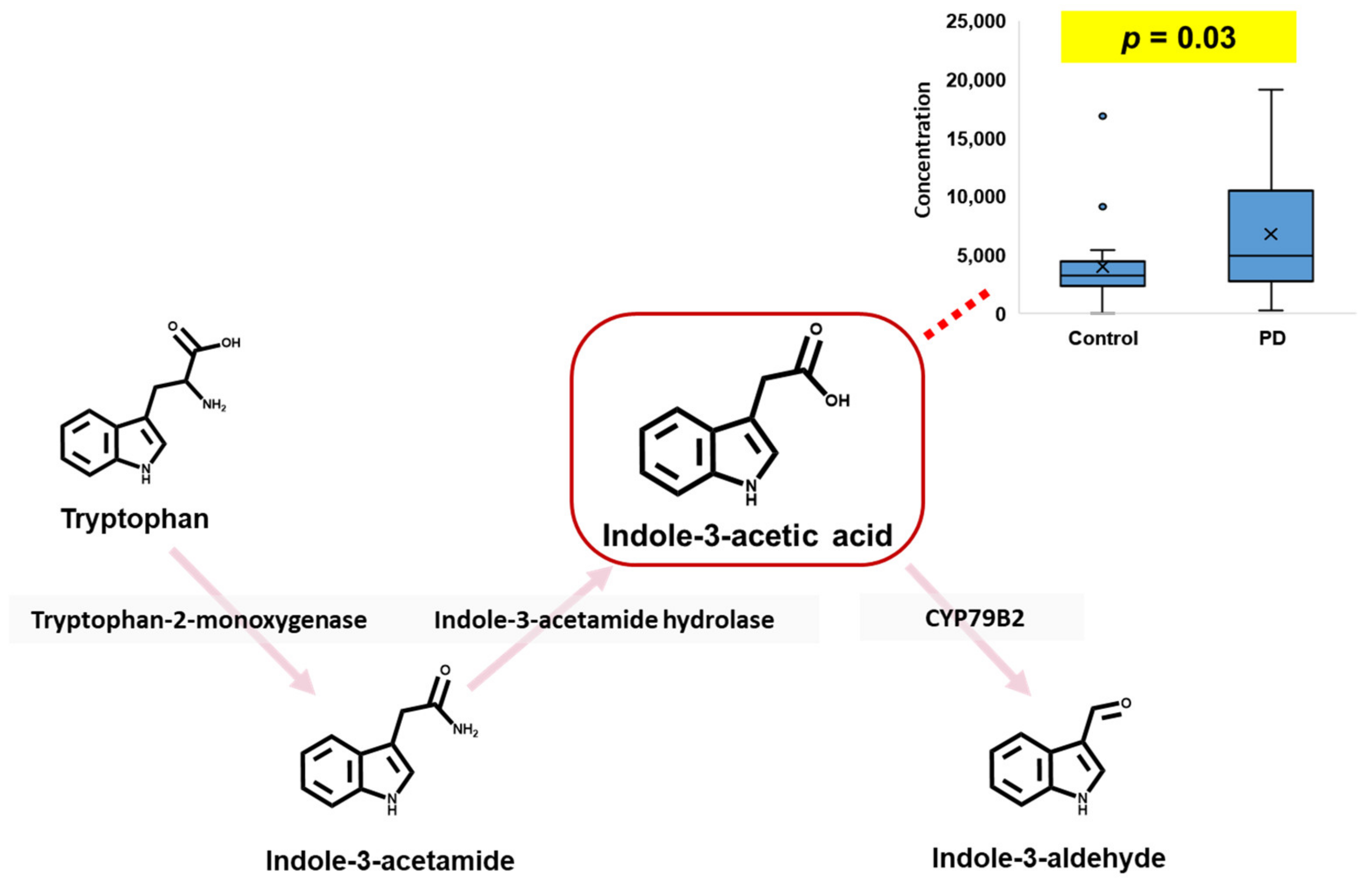 Pharmaceuticals 16 01495 g003