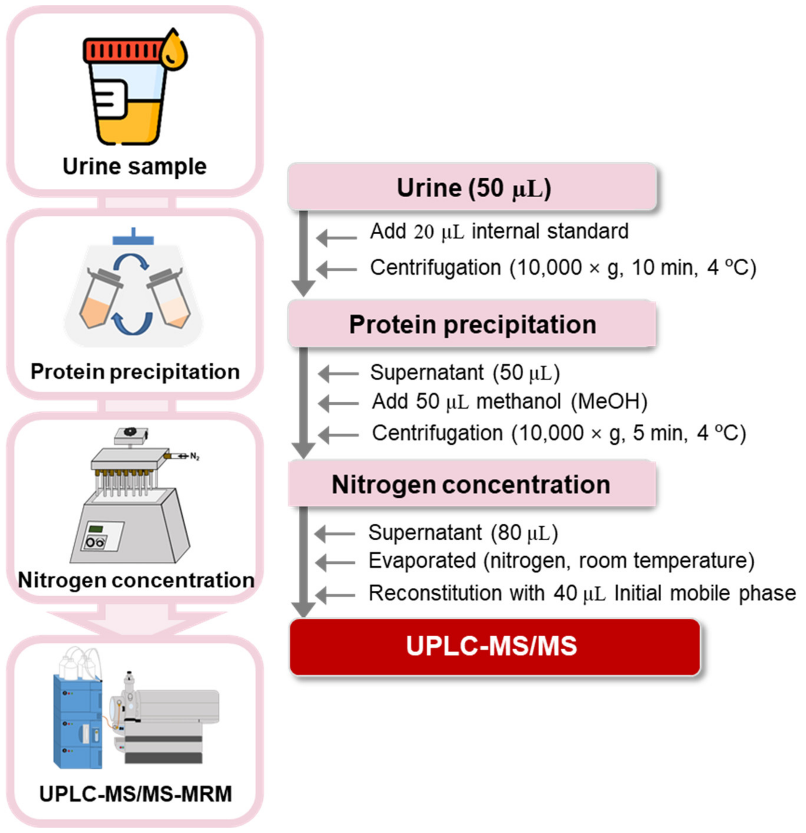 Pharmaceuticals 16 01495 g004