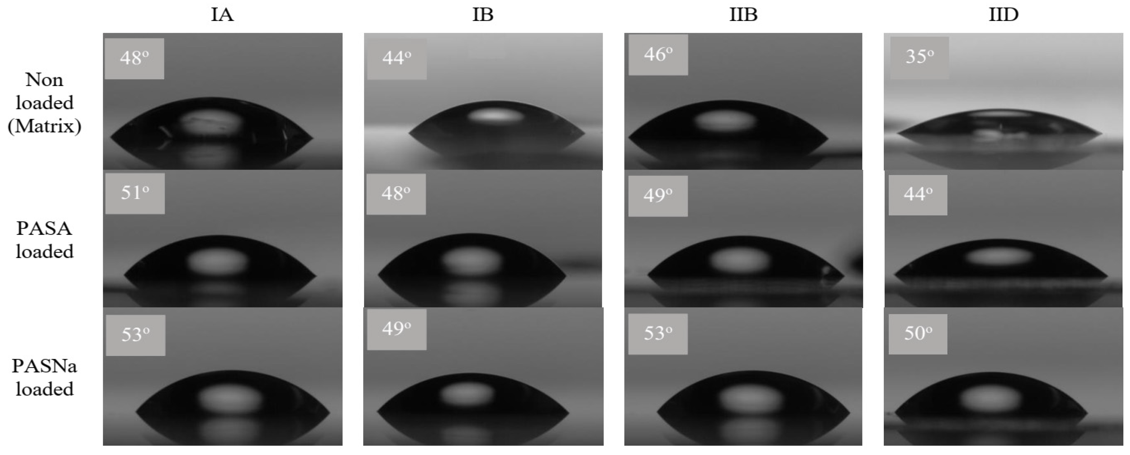 Pharmaceuticals 16 01502 g005