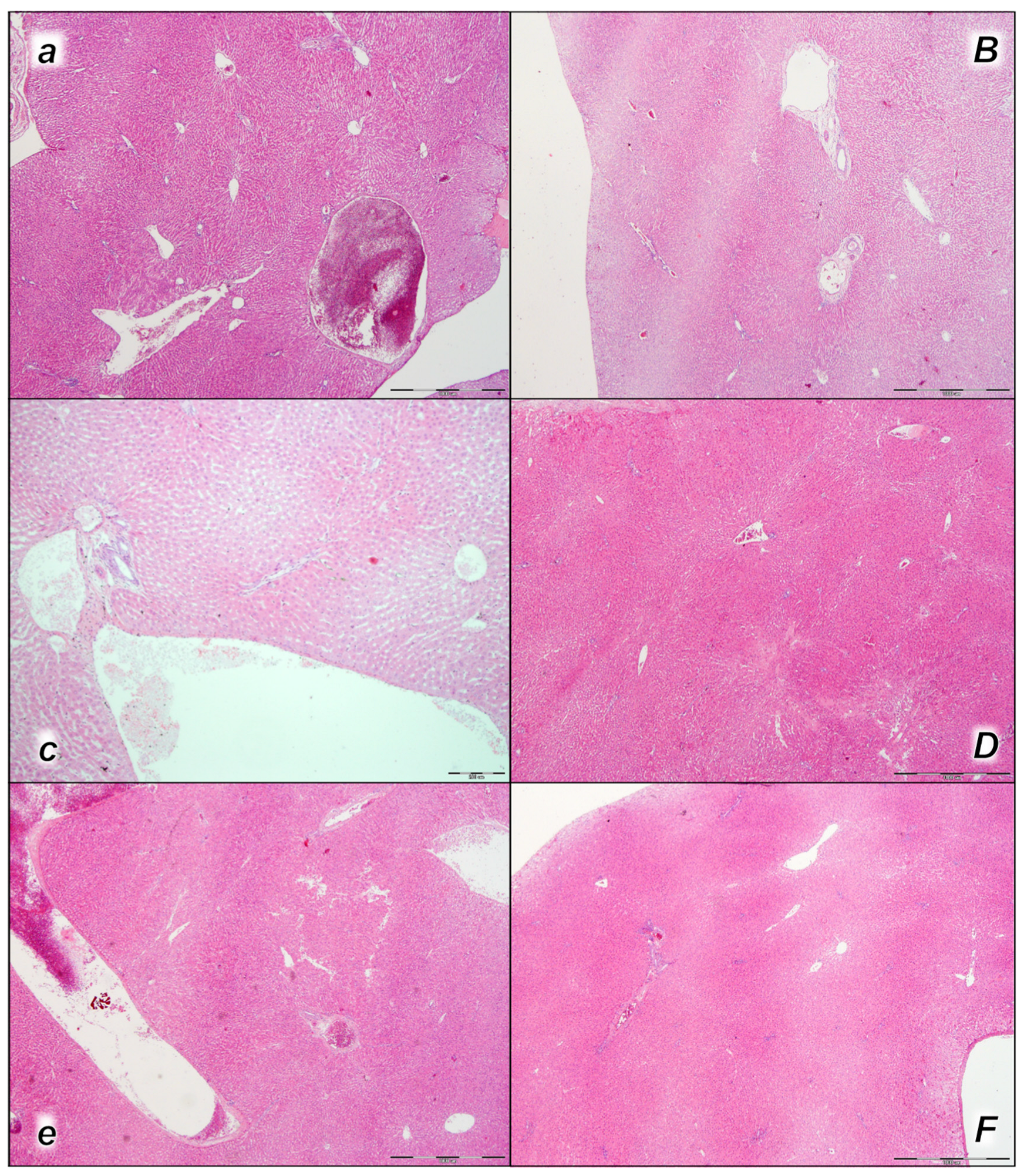 Pharmaceuticals 16 01507 g008 Pharmaceuticals 16 01507 g008