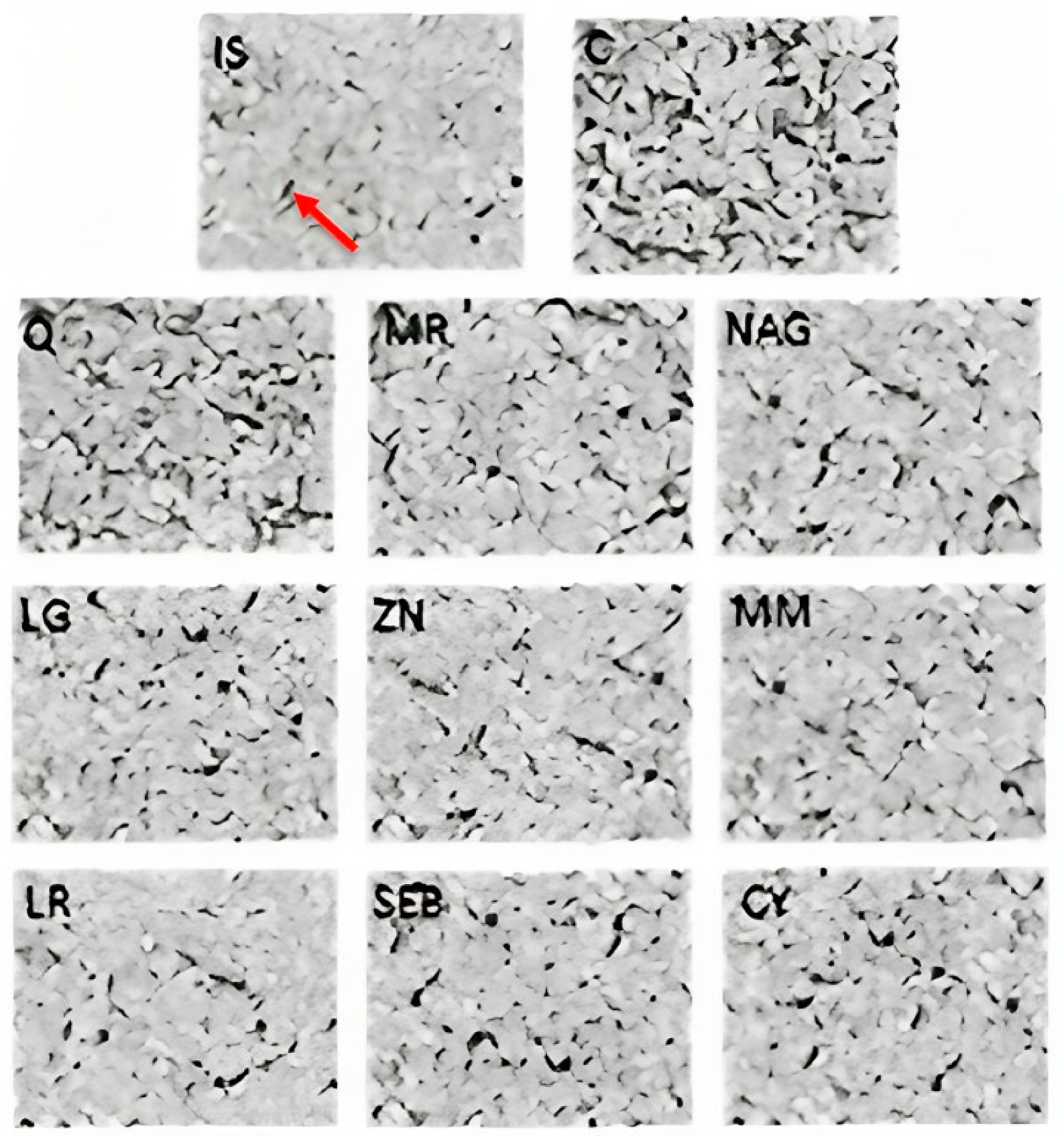 Pharmaceuticals 16 01511 g004