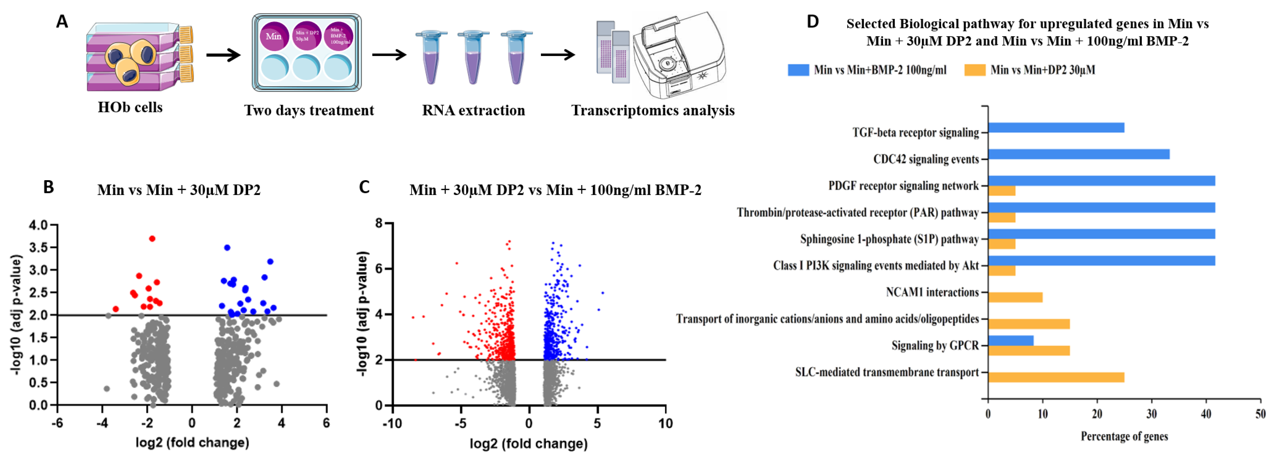 Pharmaceuticals 16 01512 g006