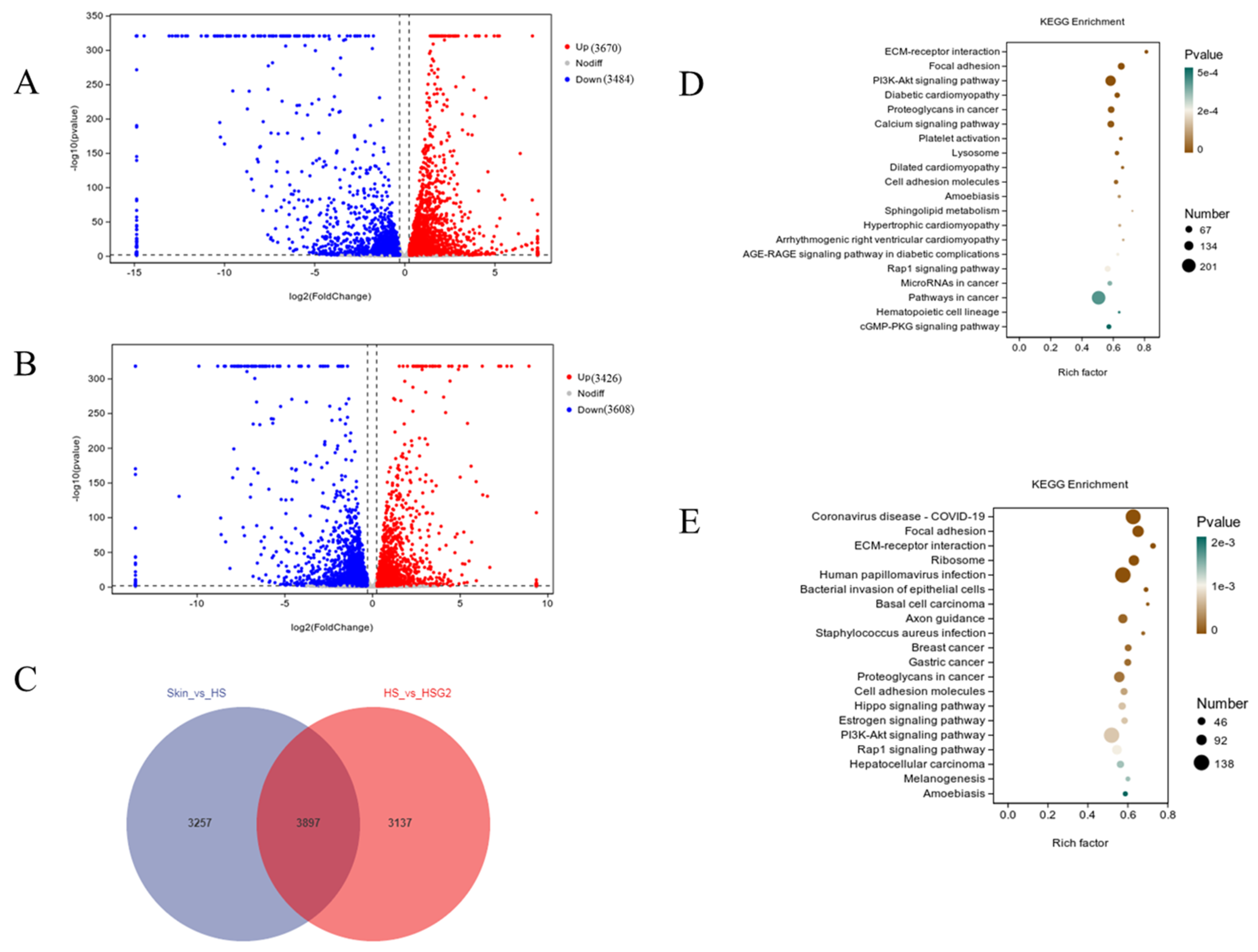 Pharmaceuticals 16 01514 g003