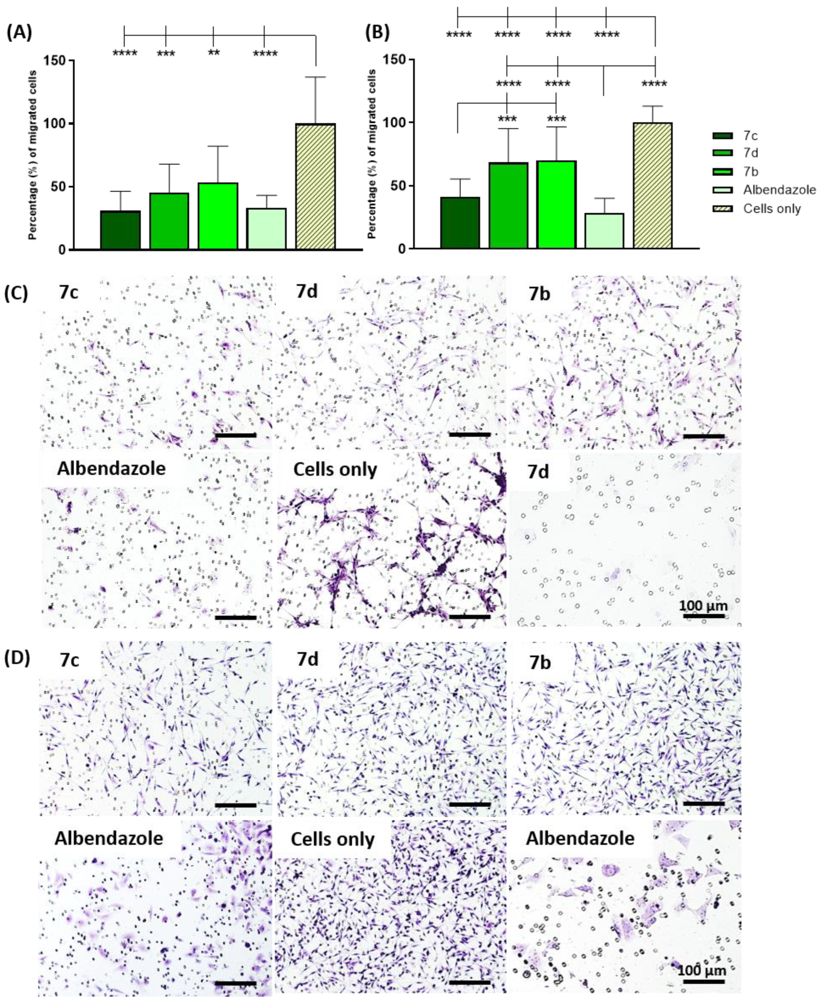 Pharmaceuticals 16 01518 g004
