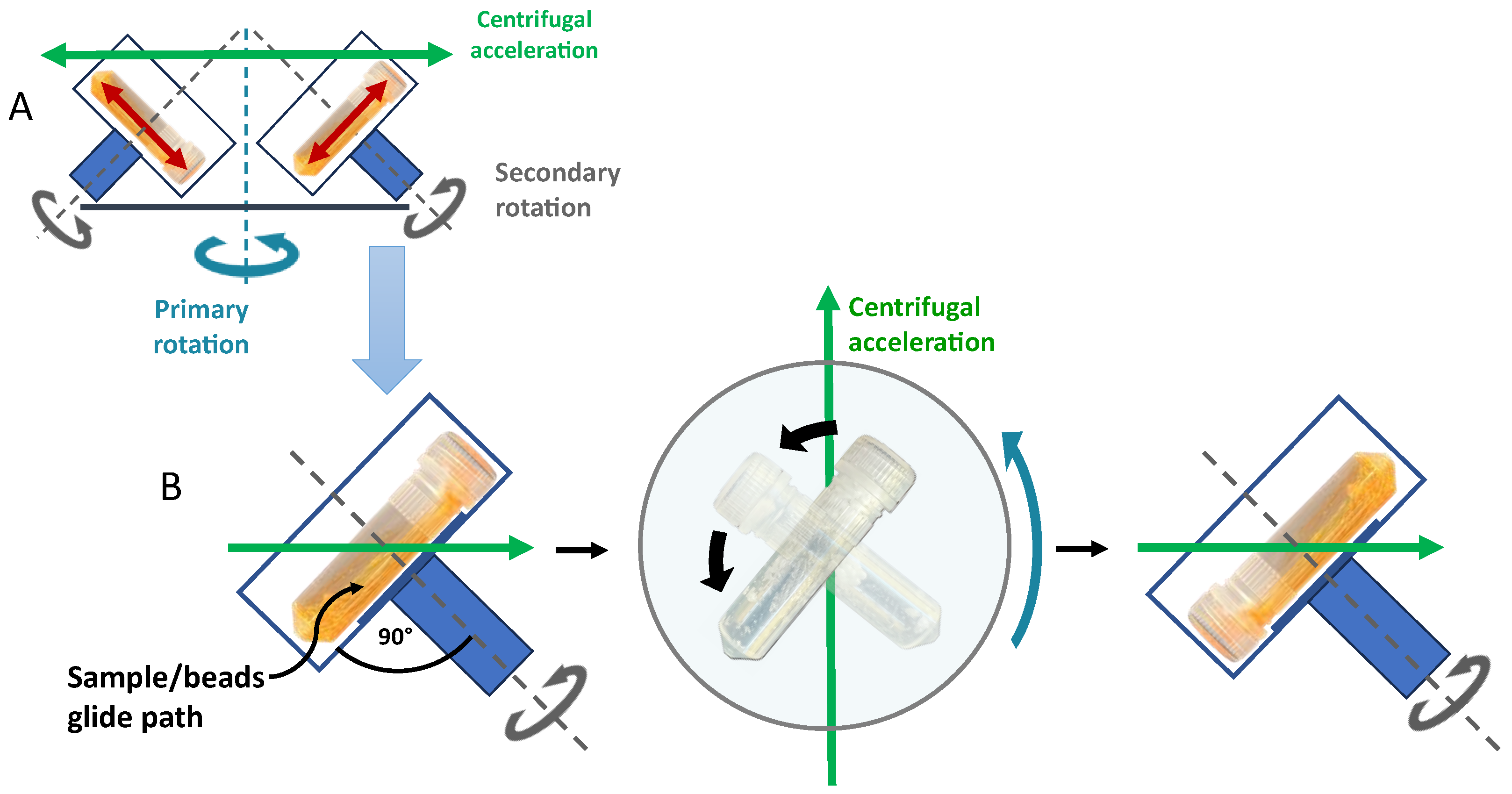Pharmaceuticals 16 01519 g001 Pharmaceuticals 16 01519 g001
