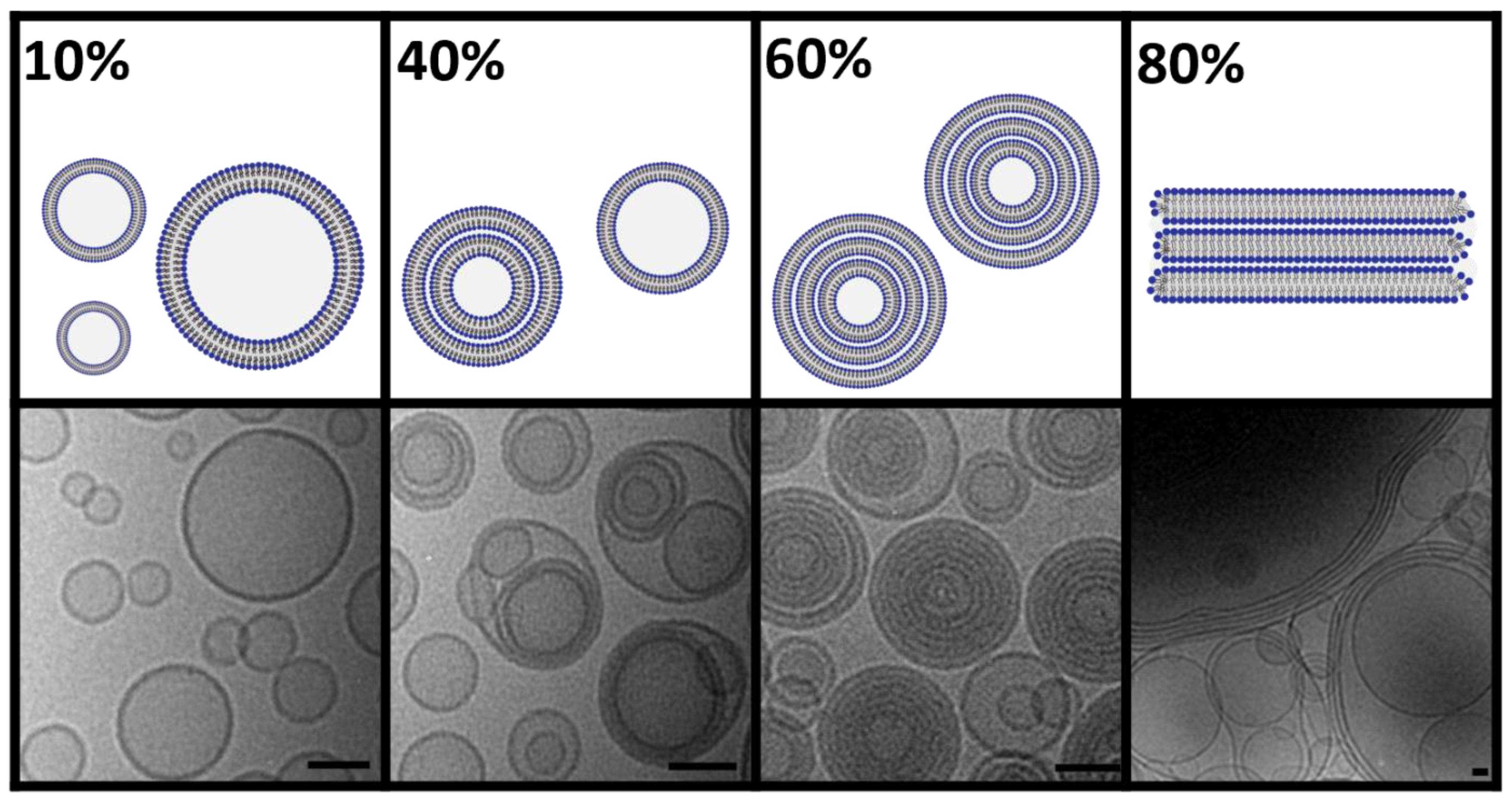 Pharmaceuticals 16 01519 g005 Pharmaceuticals 16 01519 g005