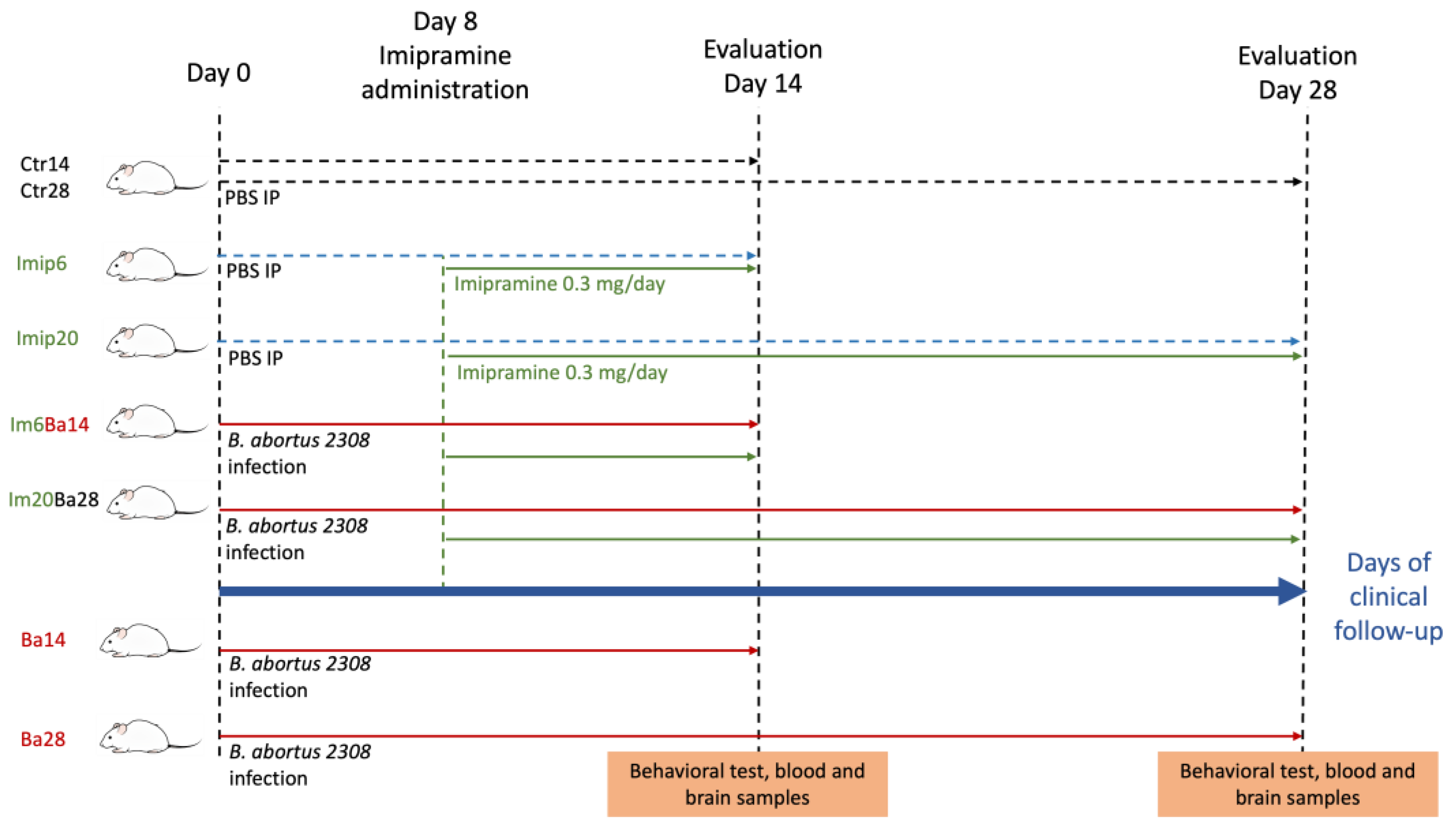 Pharmaceuticals 16 01525 g001