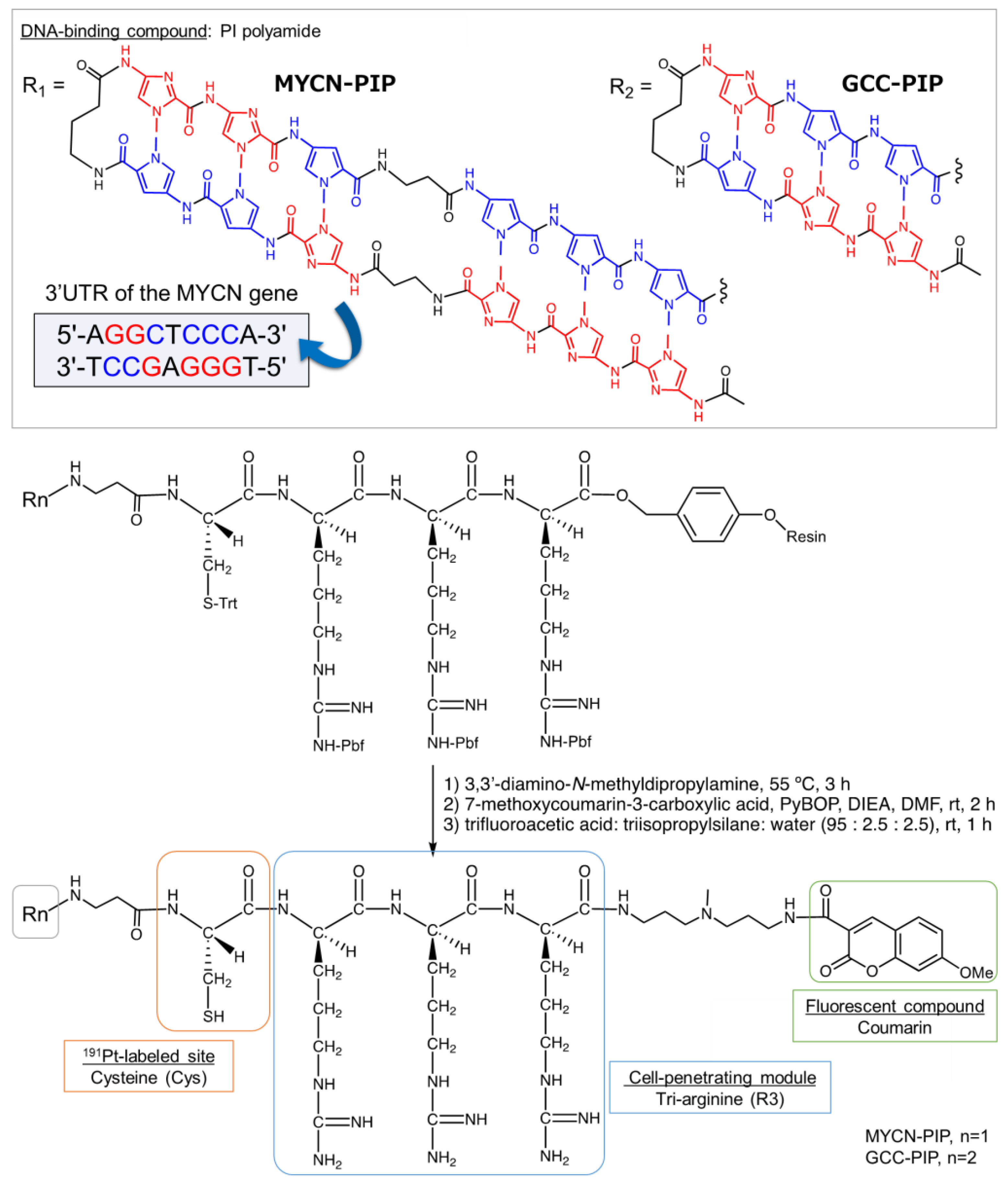 Pharmaceuticals 16 01526 g001