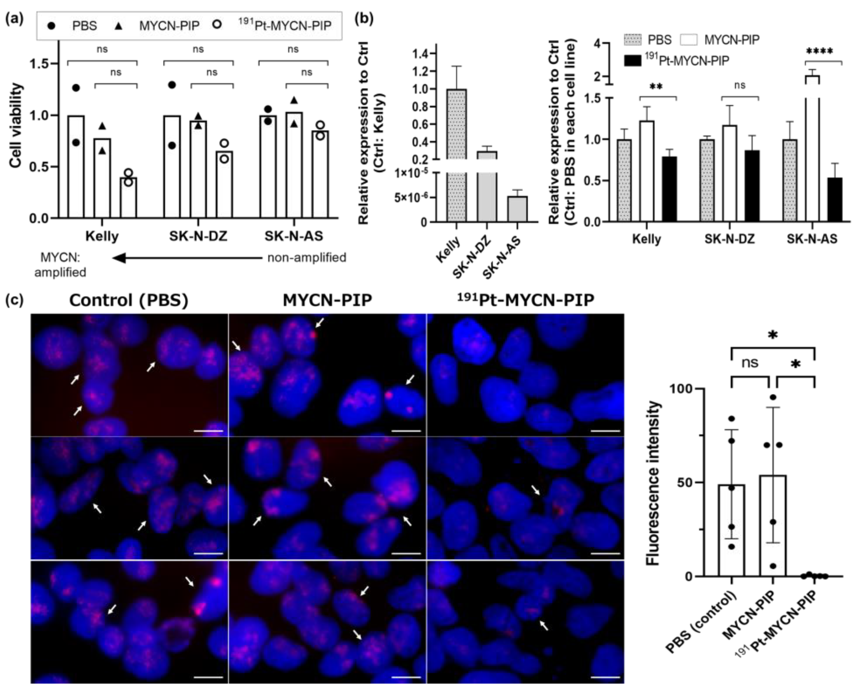 Pharmaceuticals 16 01526 g003