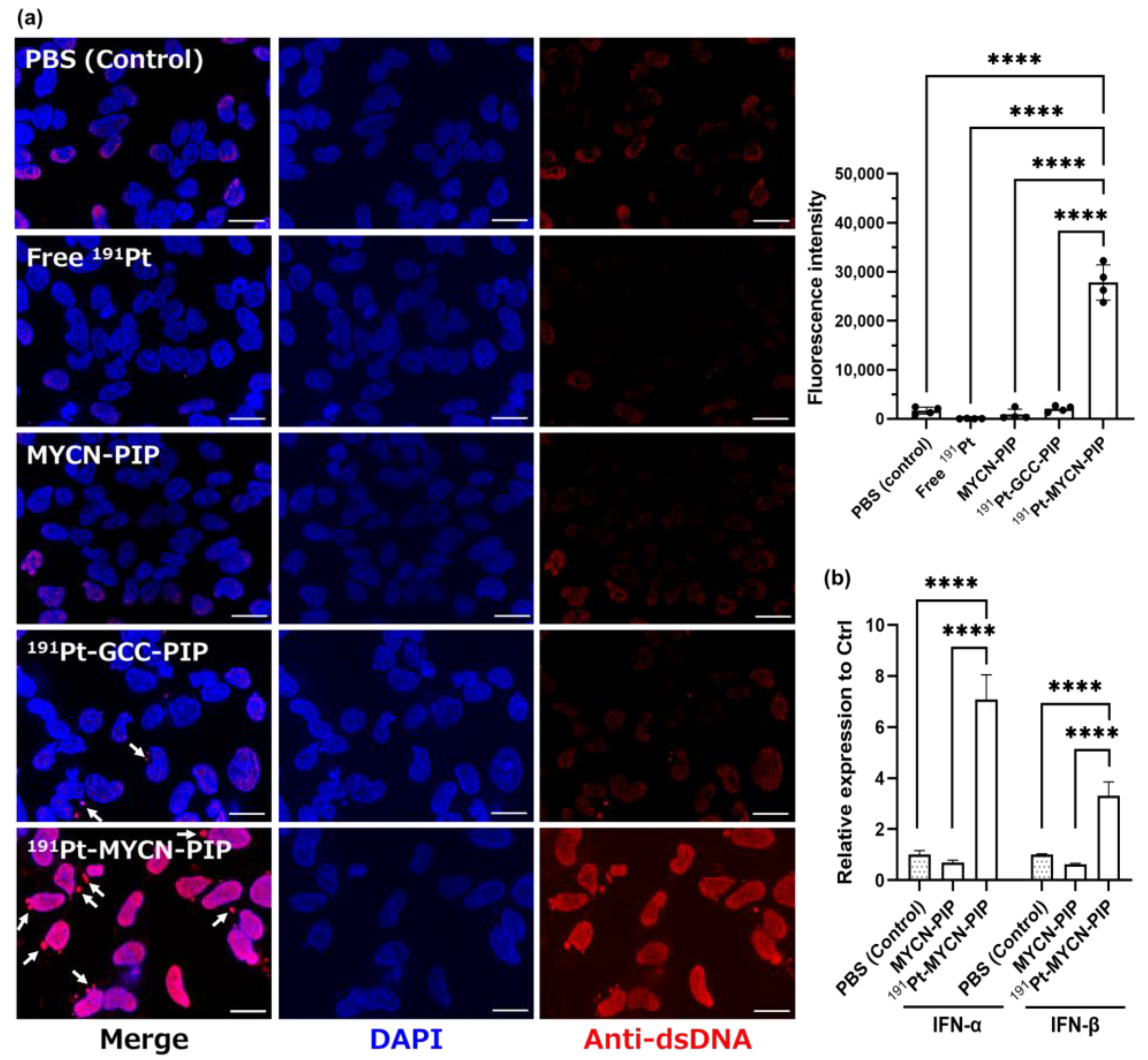 Pharmaceuticals 16 01526 g004
