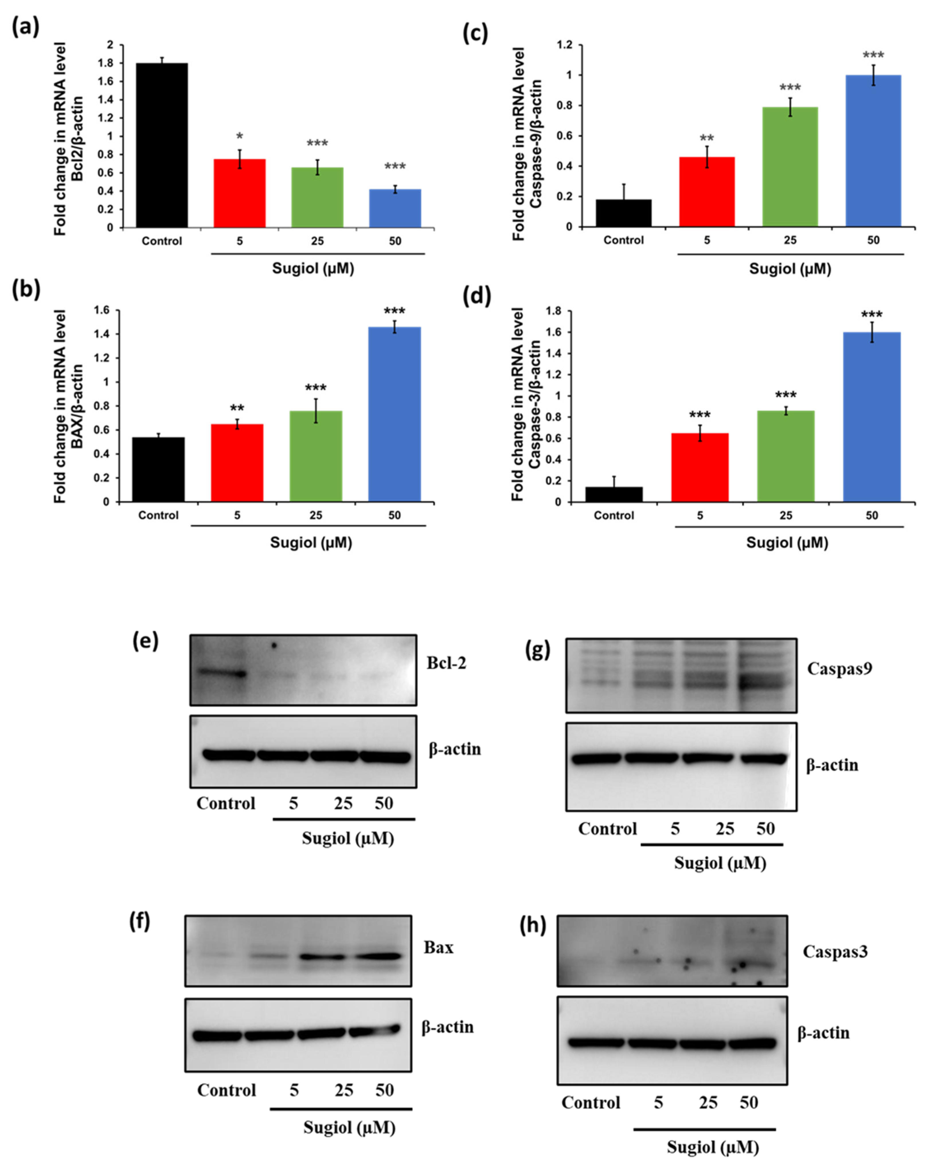Pharmaceuticals 16 01528 g006