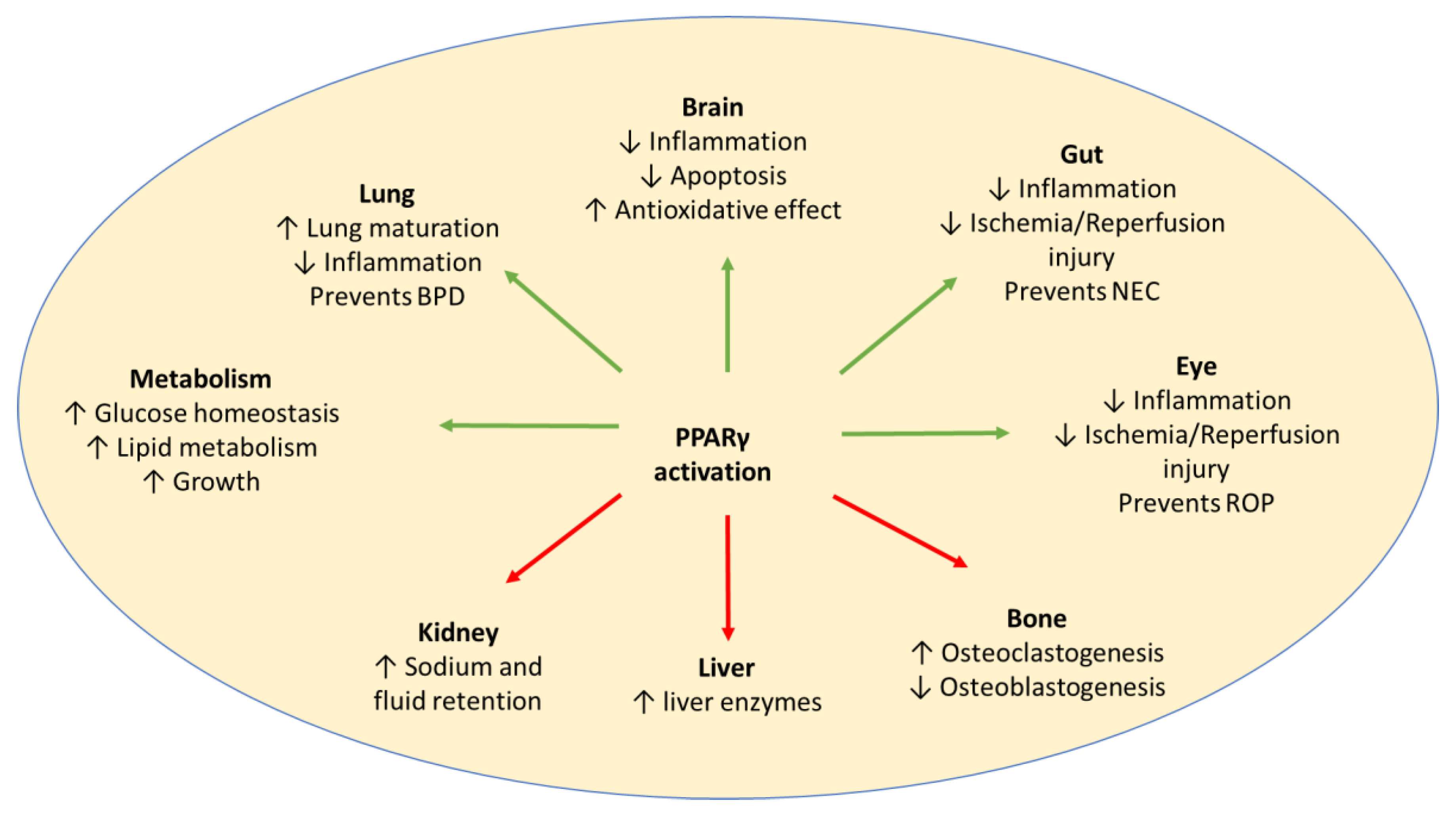 Pharmaceuticals 16 01530 g001 Pharmaceuticals 16 01530 g001