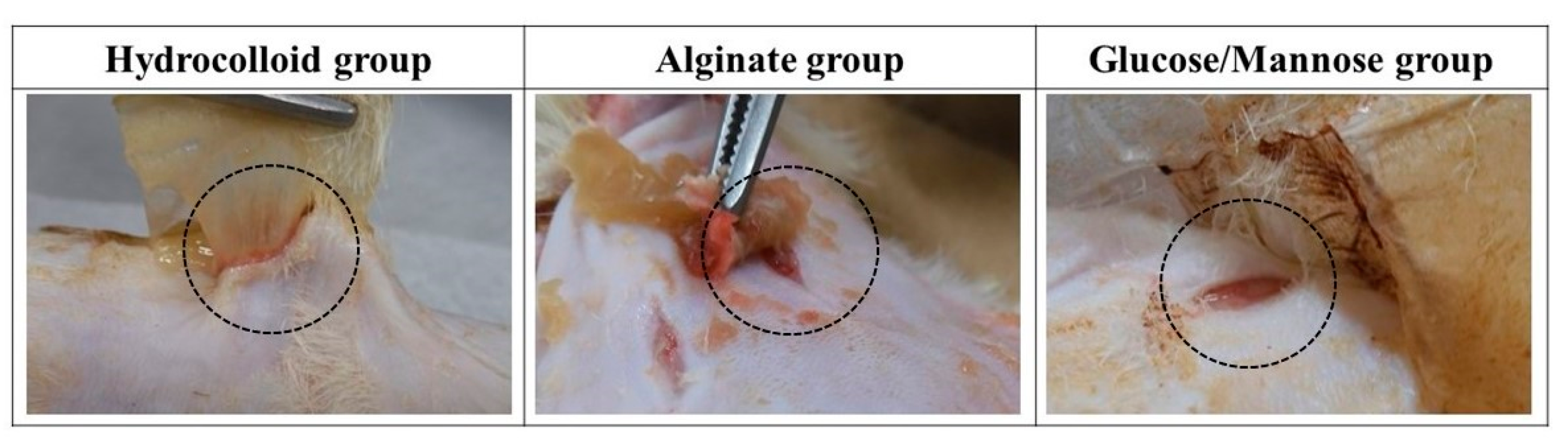 Pharmaceuticals 16 01532 g006