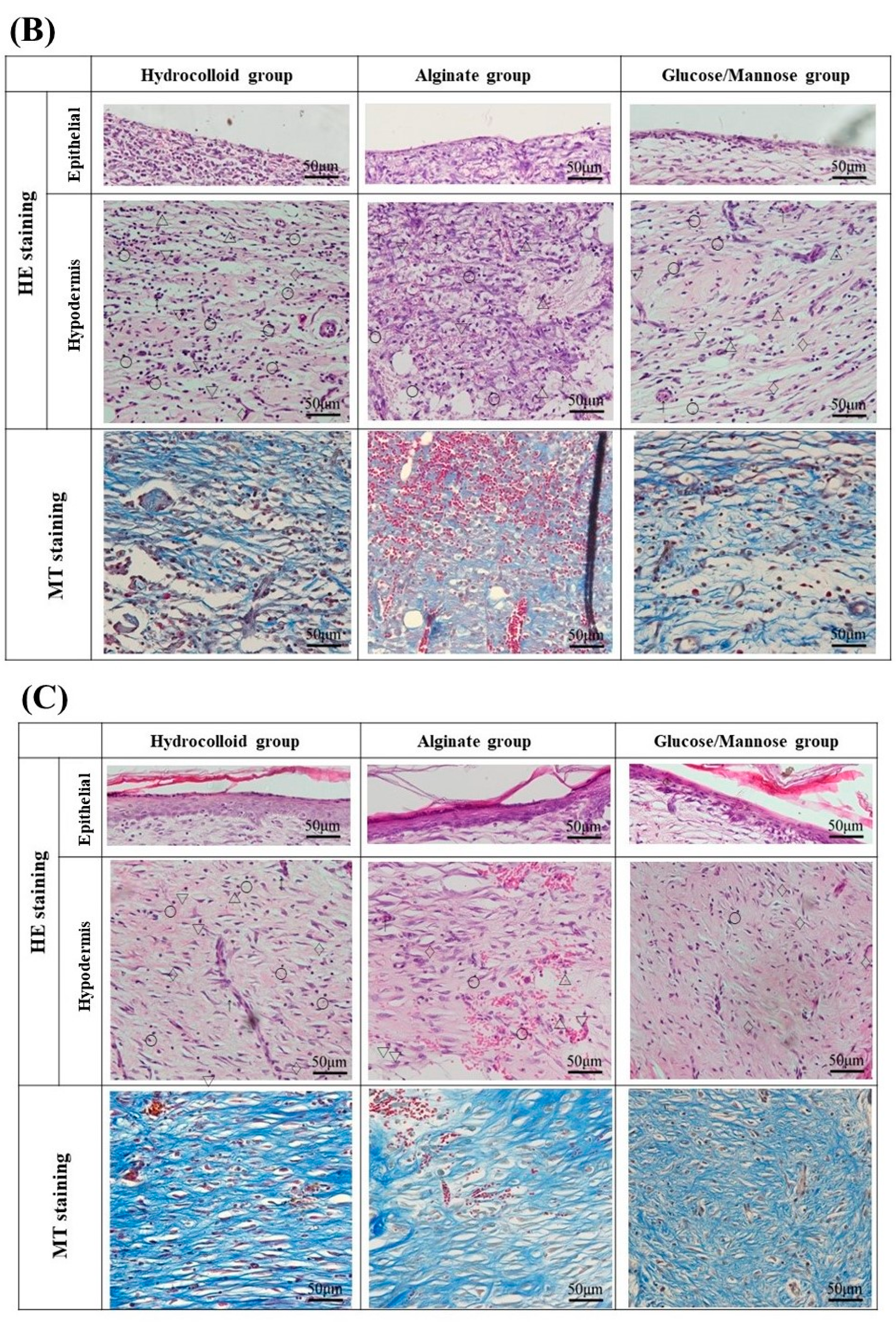 Pharmaceuticals 16 01532 g009b