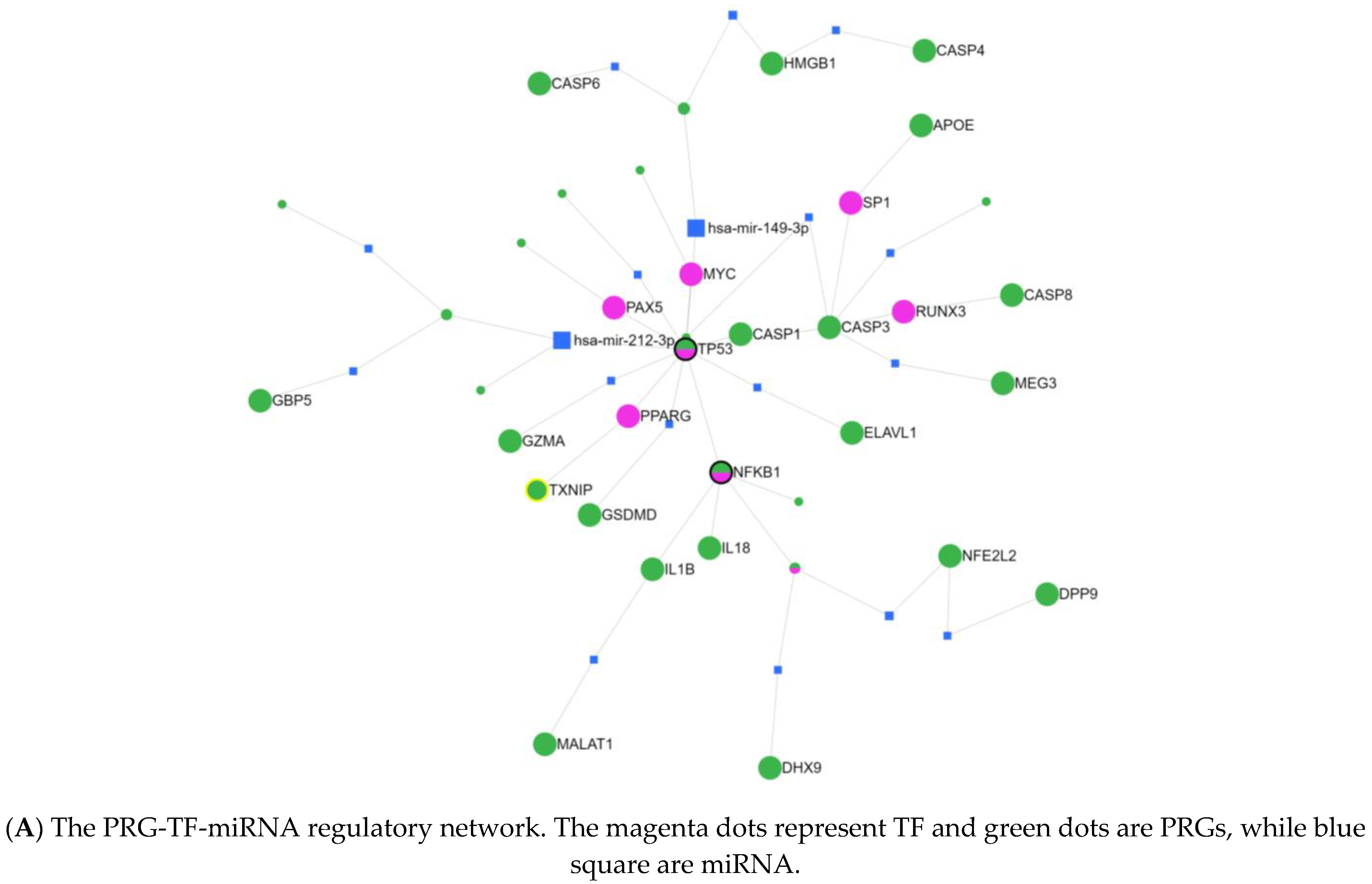 Pharmaceuticals 16 01533 g001a