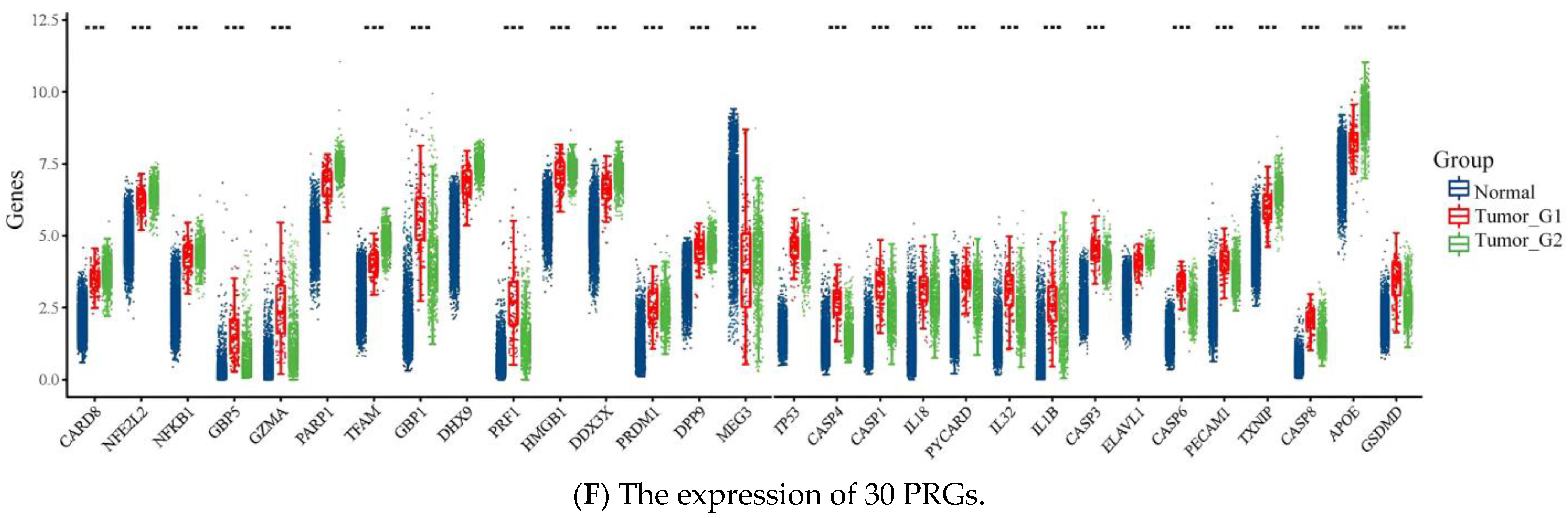 Pharmaceuticals 16 01533 g001d