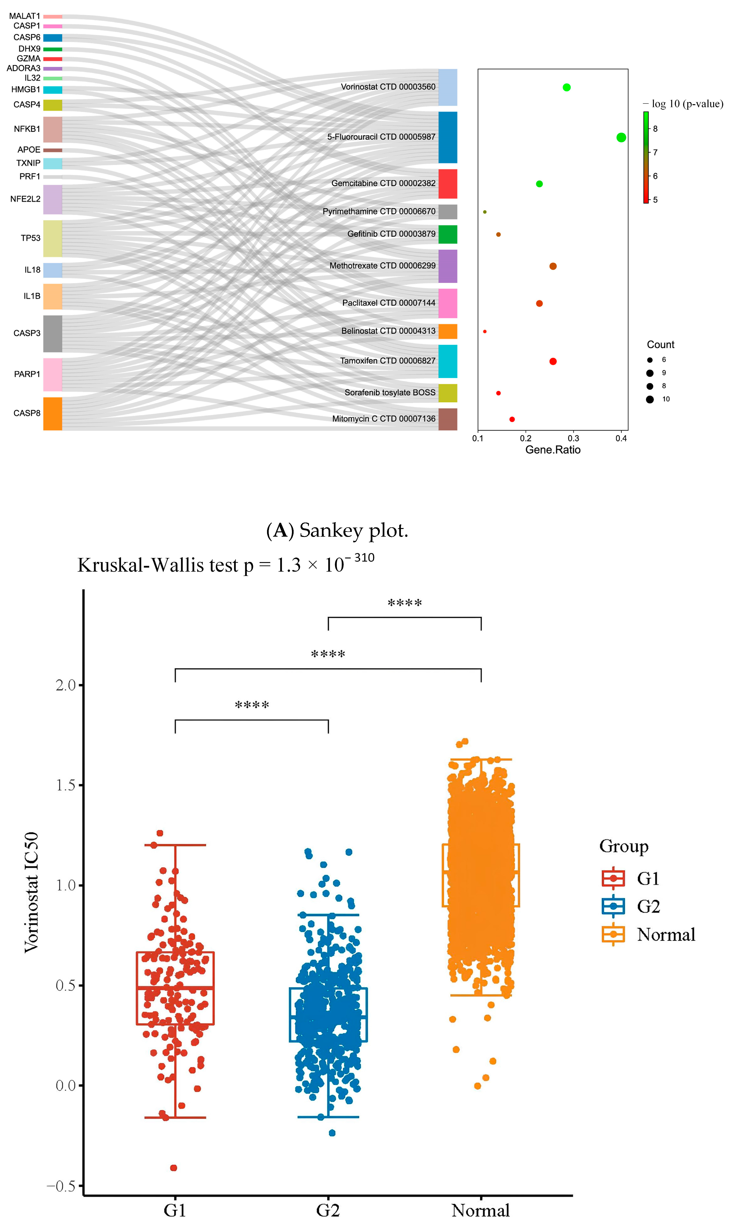 Pharmaceuticals 16 01533 g005a