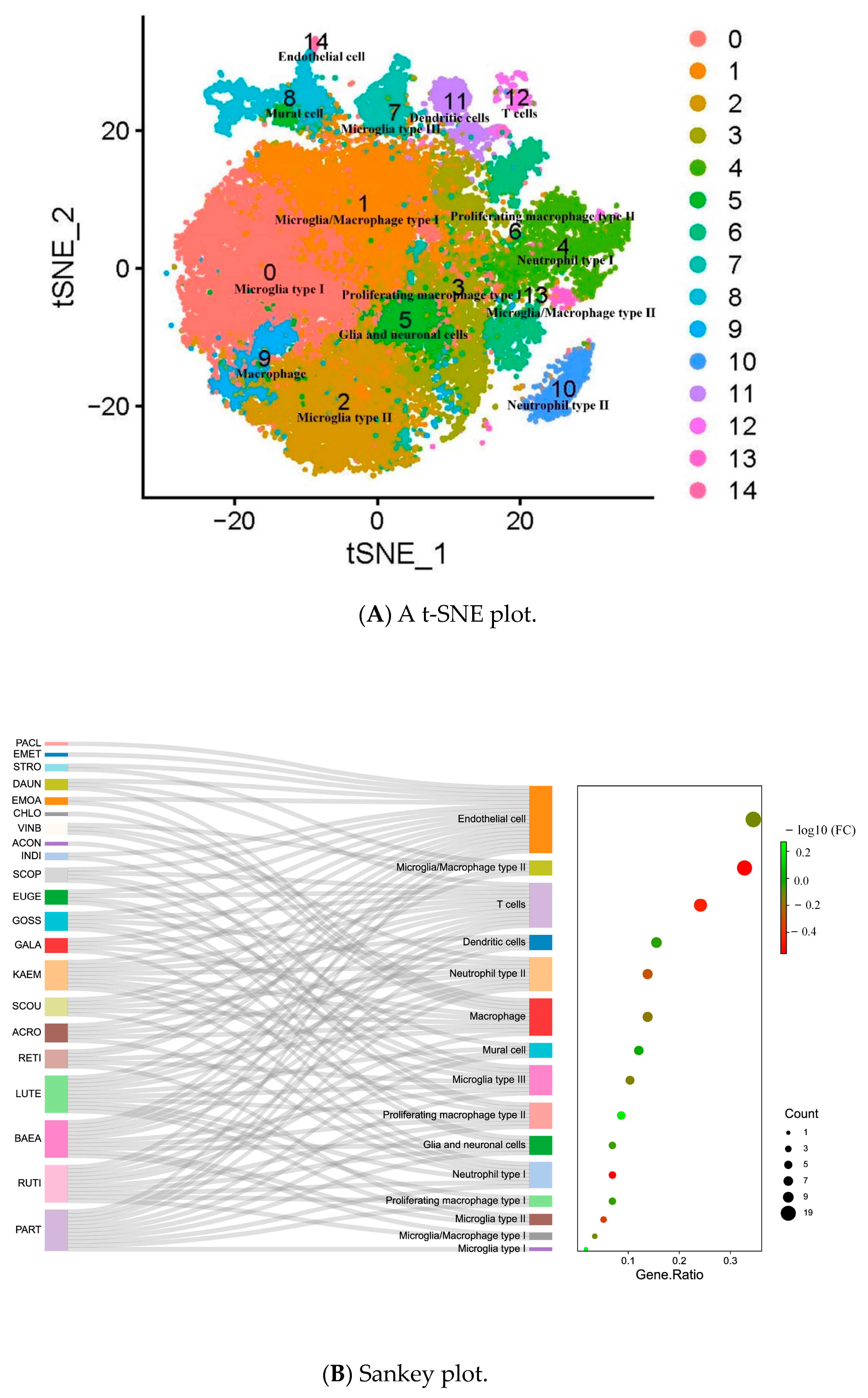 Pharmaceuticals 16 01533 g006