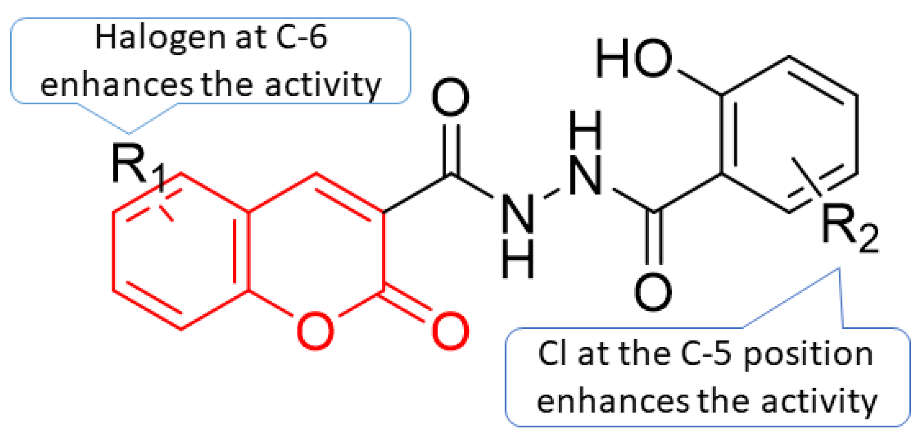 Pharmaceuticals 16 01538 g010