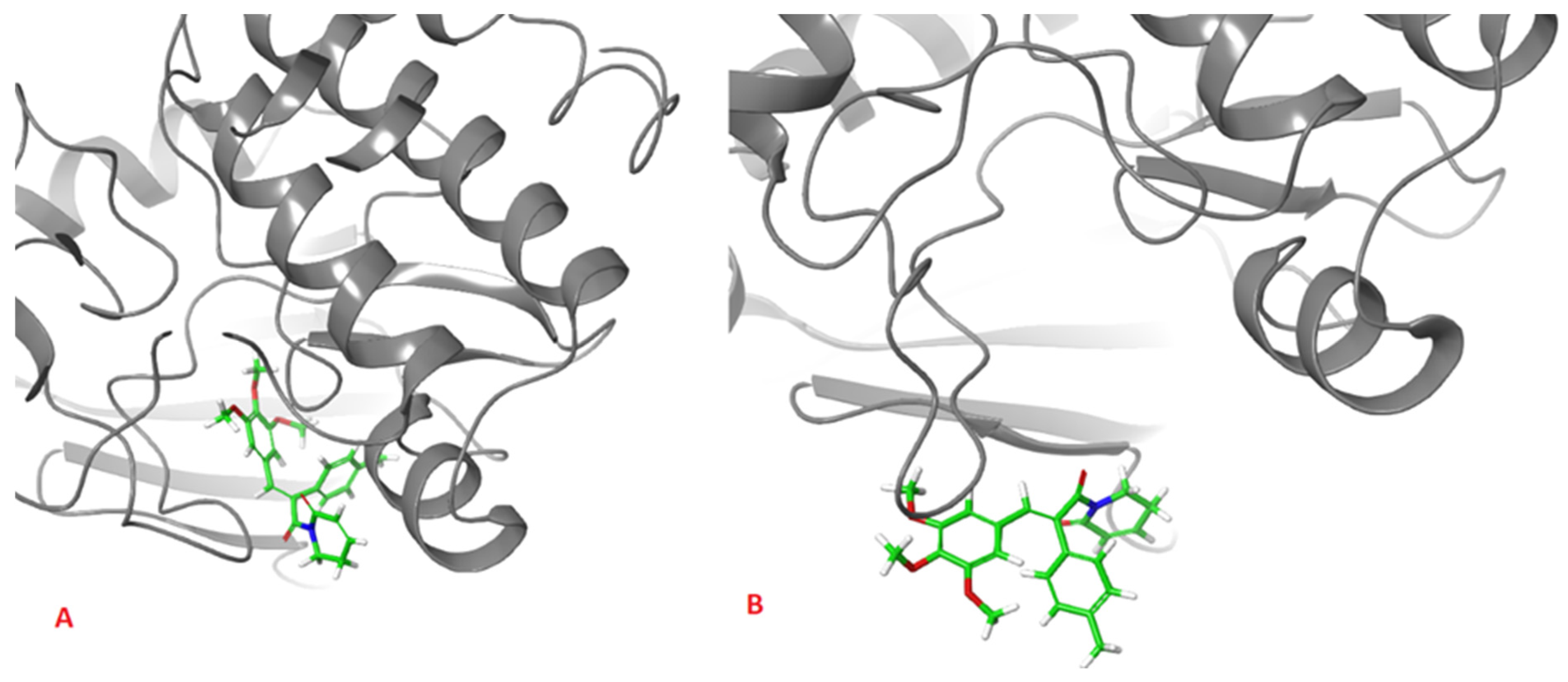 Pharmaceuticals 16 01539 g008