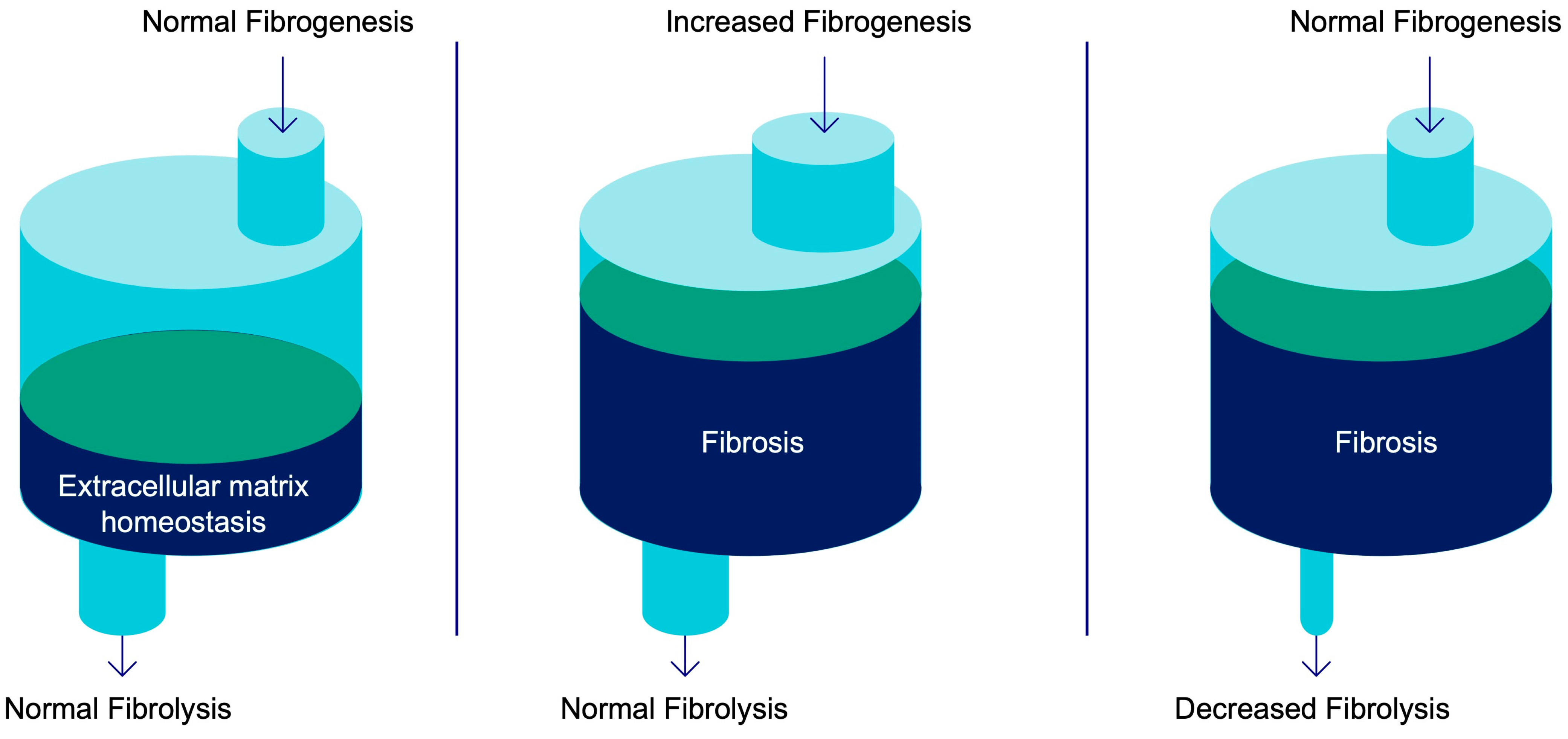 Pharmaceuticals 16 01540 g001