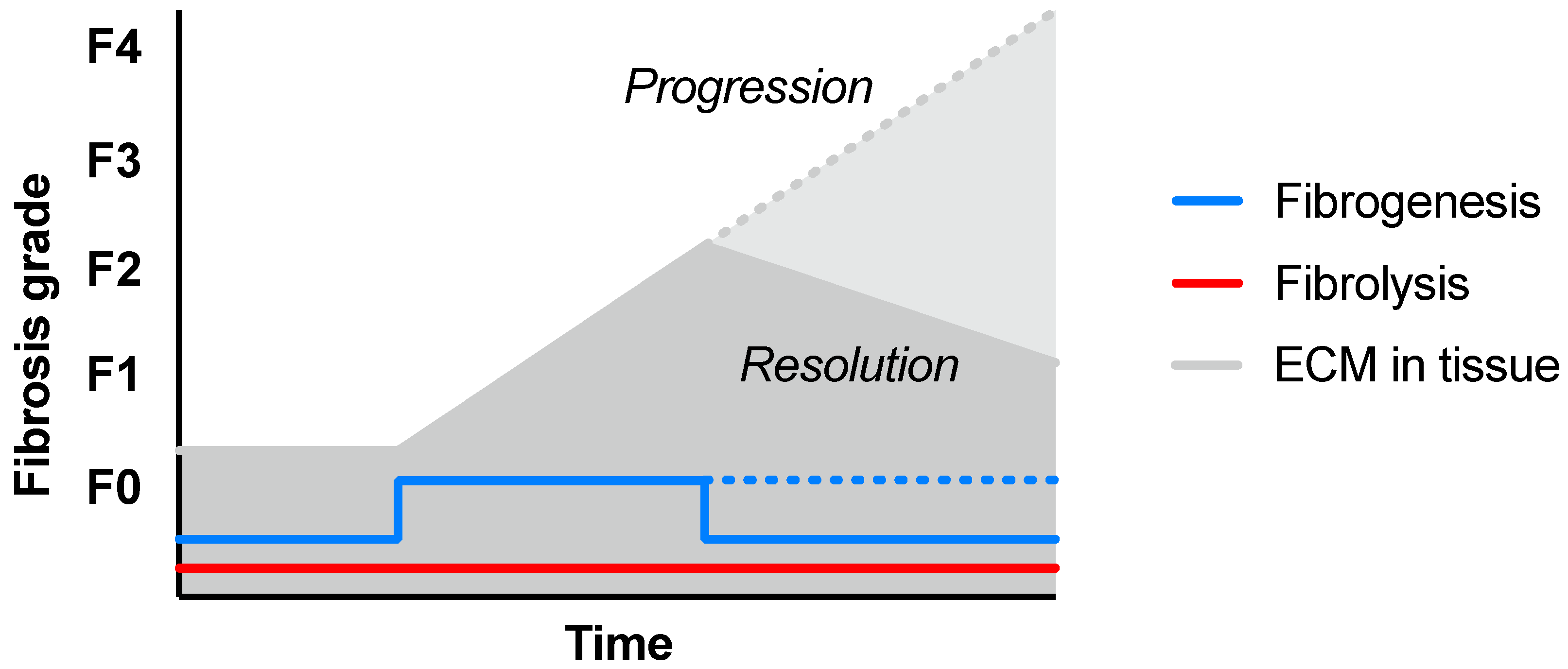 Pharmaceuticals 16 01540 g003