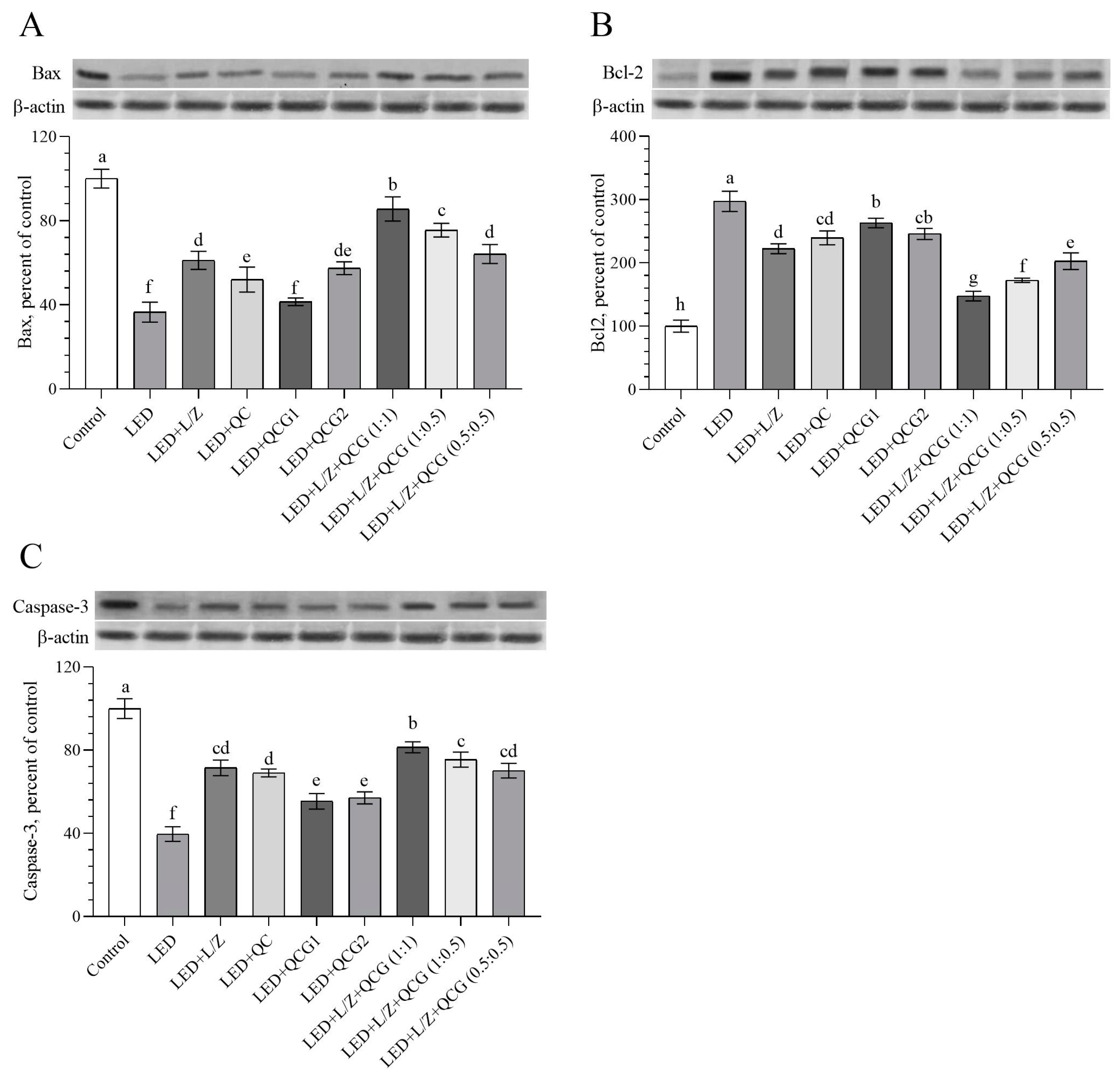 Pharmaceuticals 16 01543 g003 Pharmaceuticals 16 01543 g003
