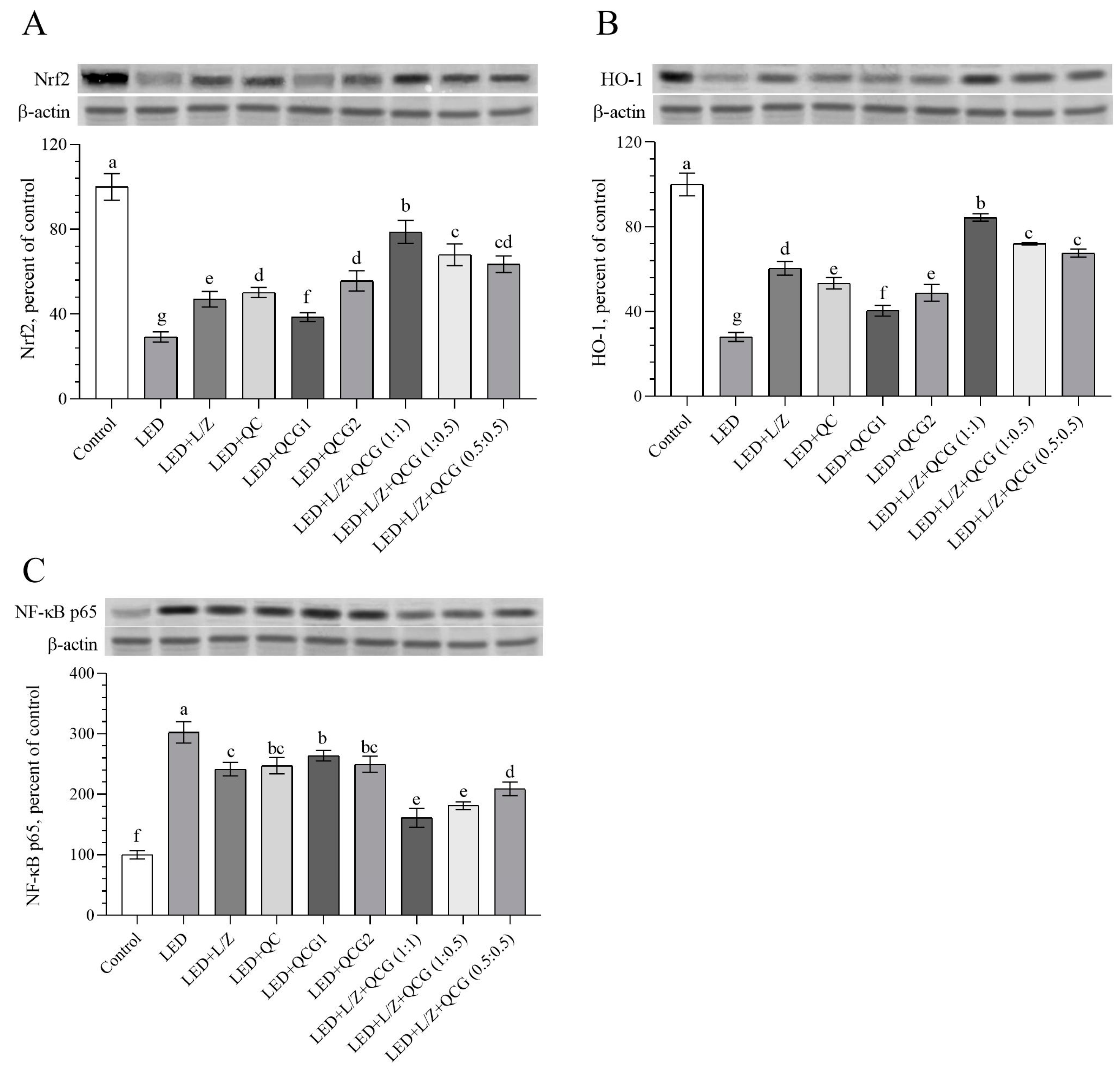Pharmaceuticals 16 01543 g004 Pharmaceuticals 16 01543 g004
