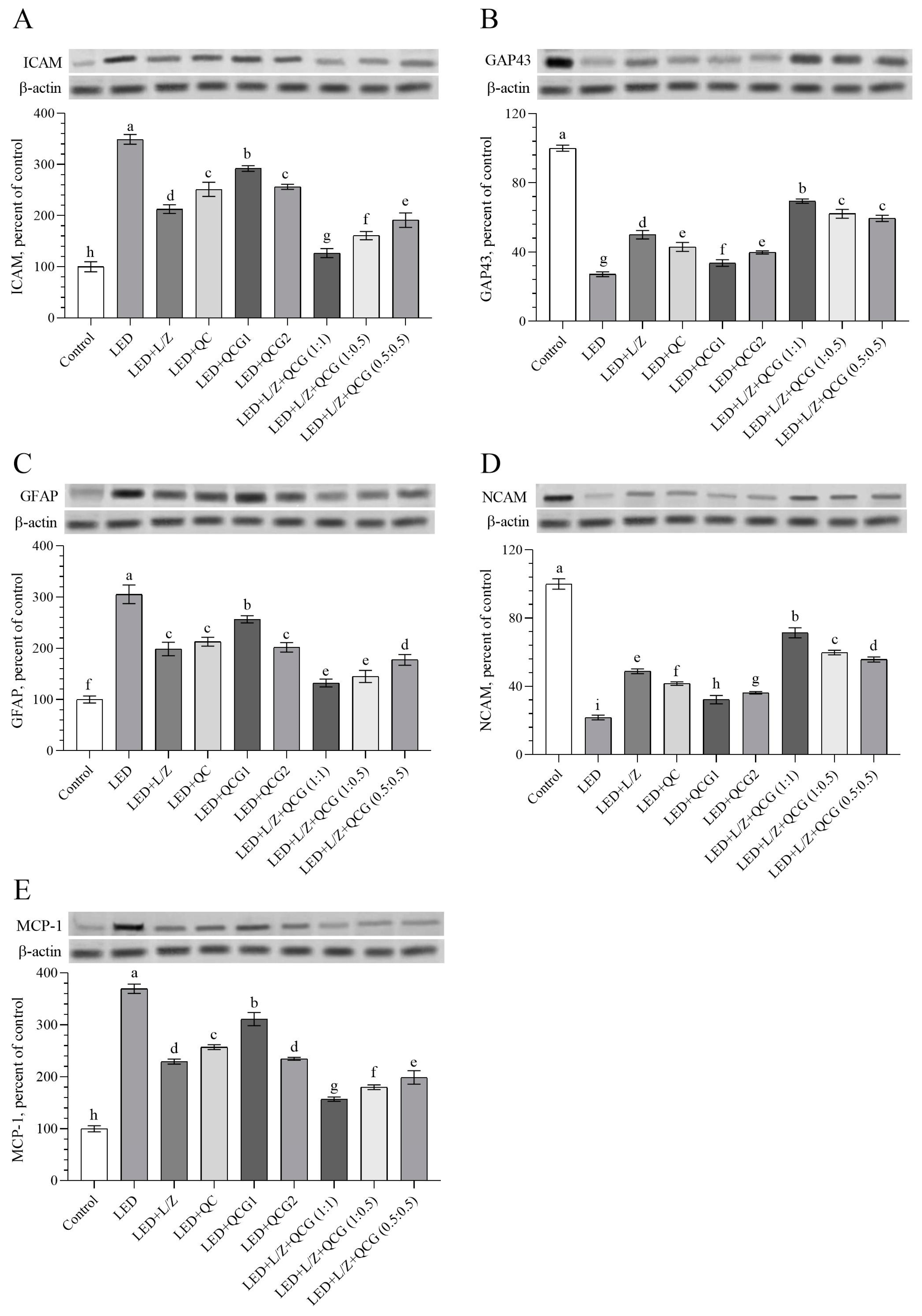 Pharmaceuticals 16 01543 g005 Pharmaceuticals 16 01543 g005