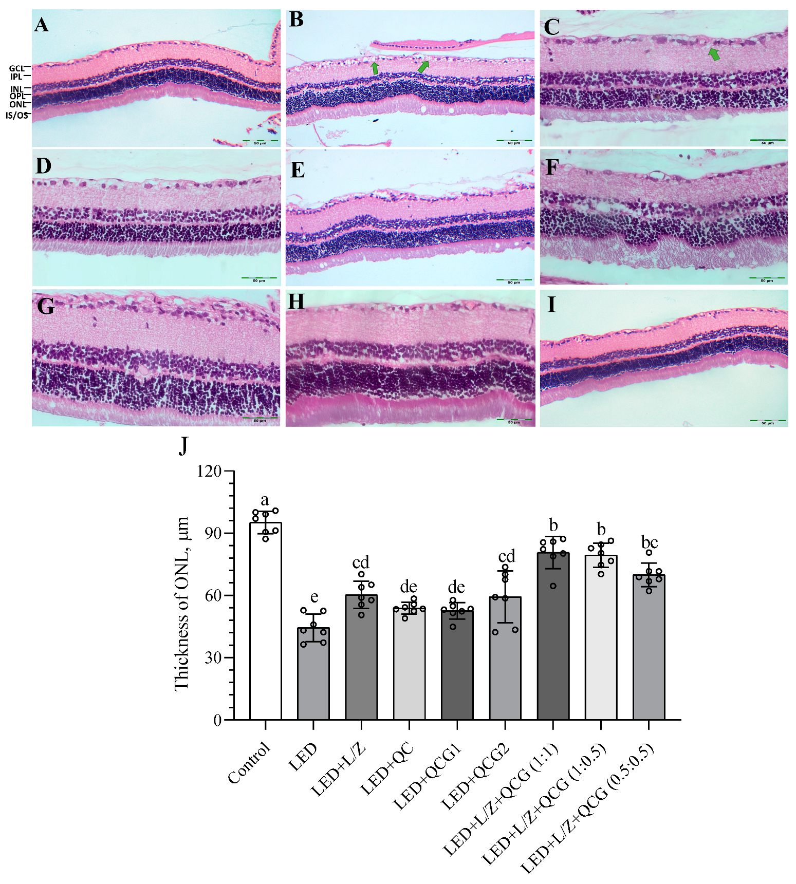 Pharmaceuticals 16 01543 g006 Pharmaceuticals 16 01543 g006