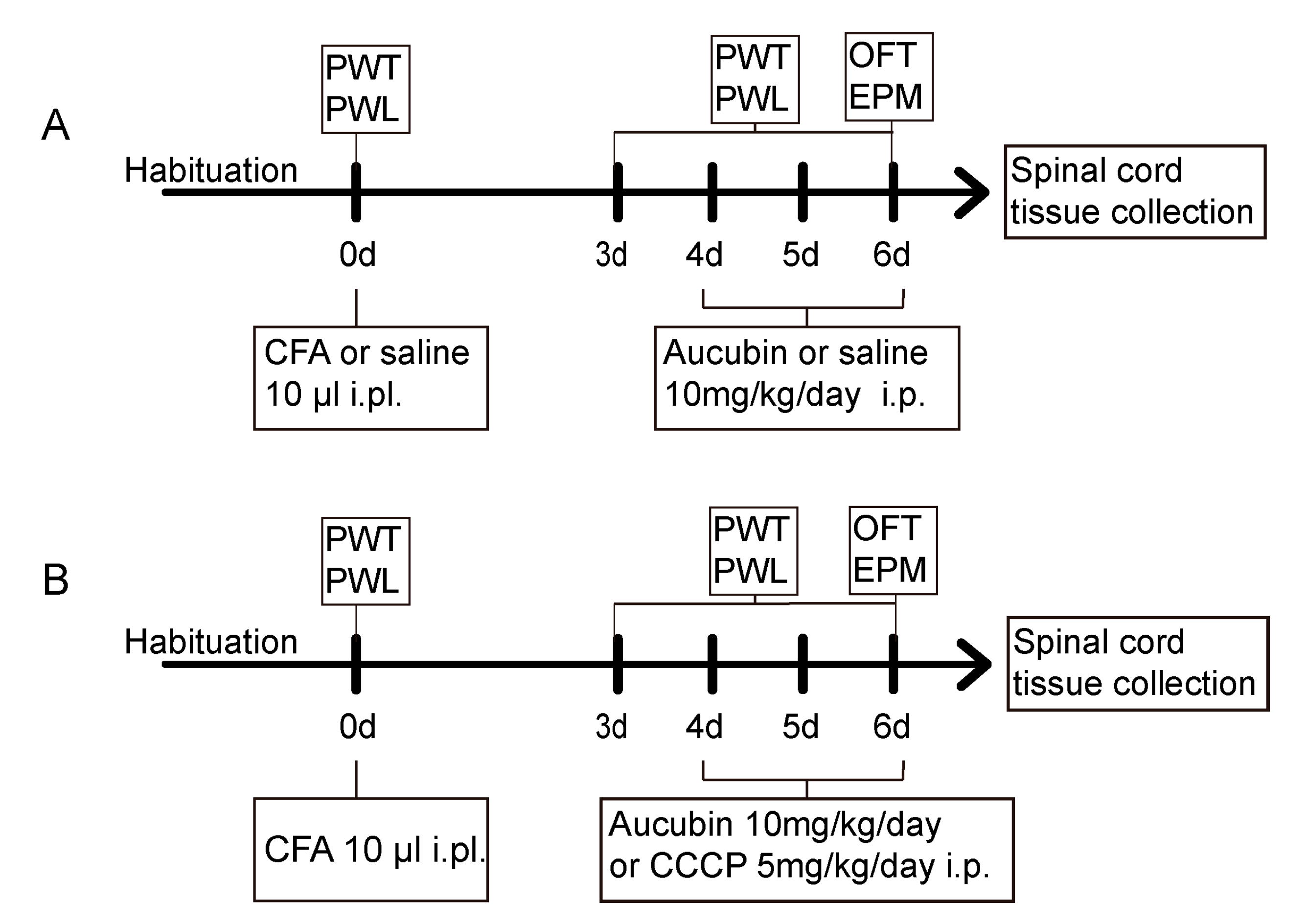 Pharmaceuticals 16 01545 g007
