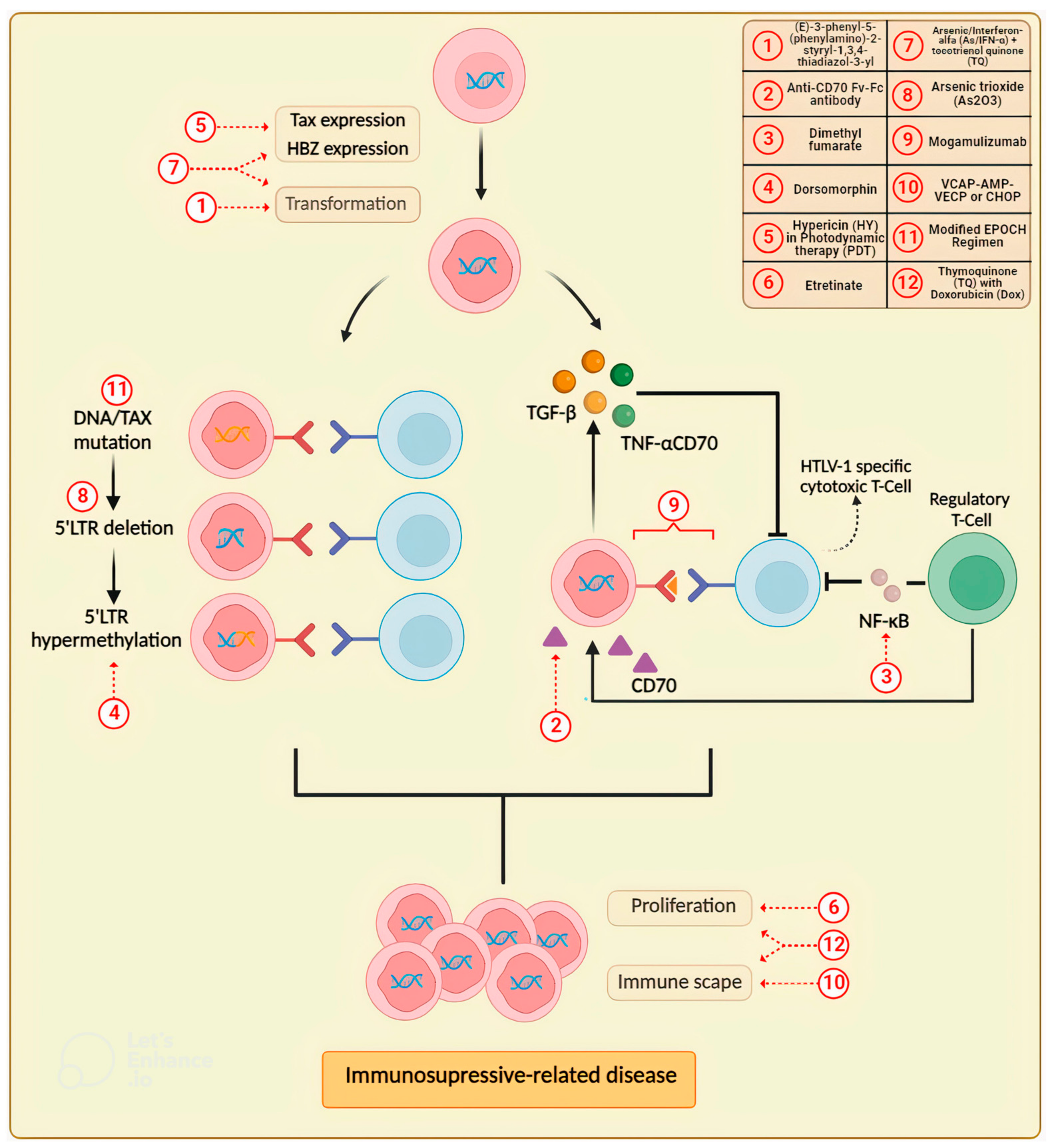 Pharmaceuticals 16 01546 g002