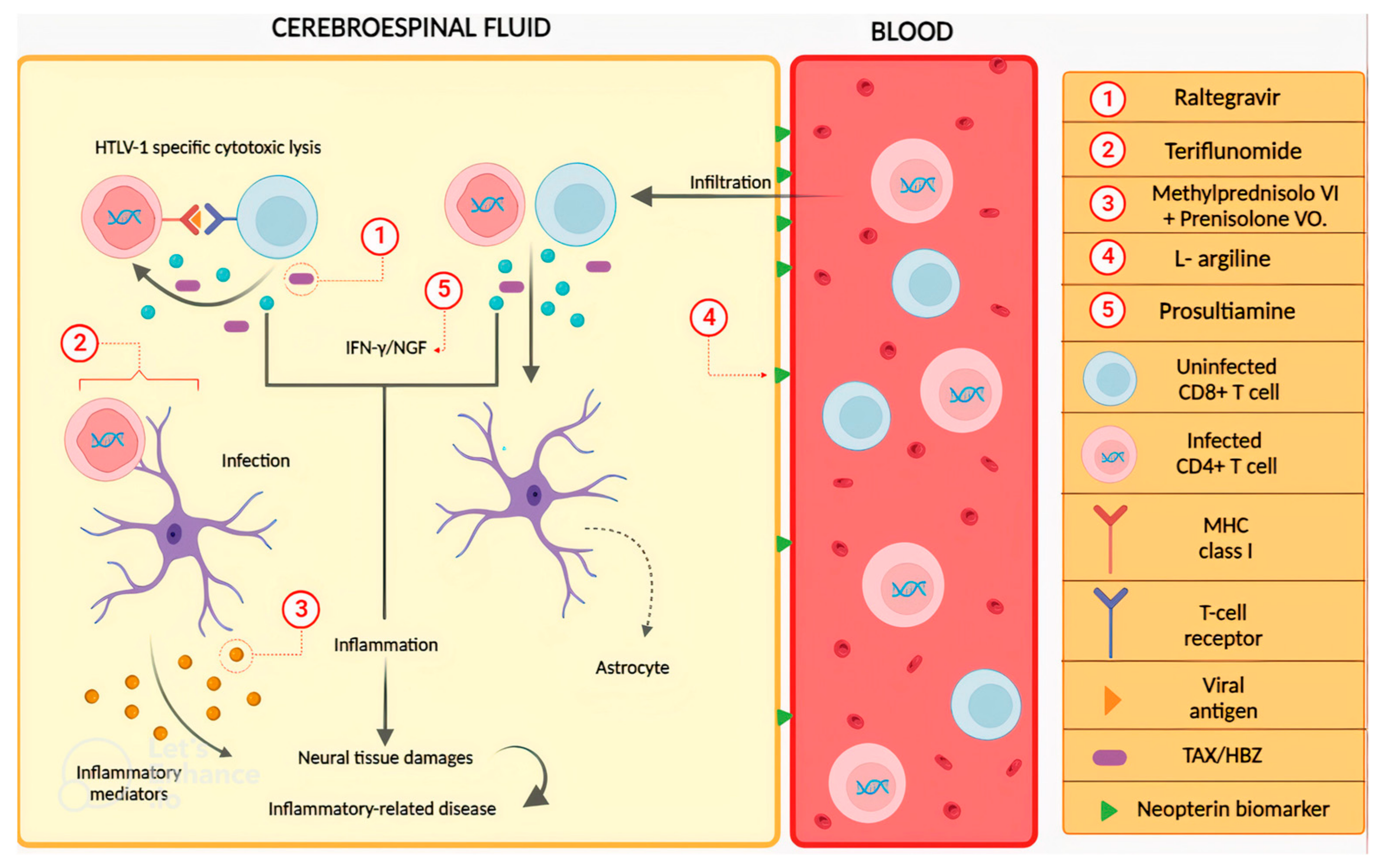 Pharmaceuticals 16 01546 g003