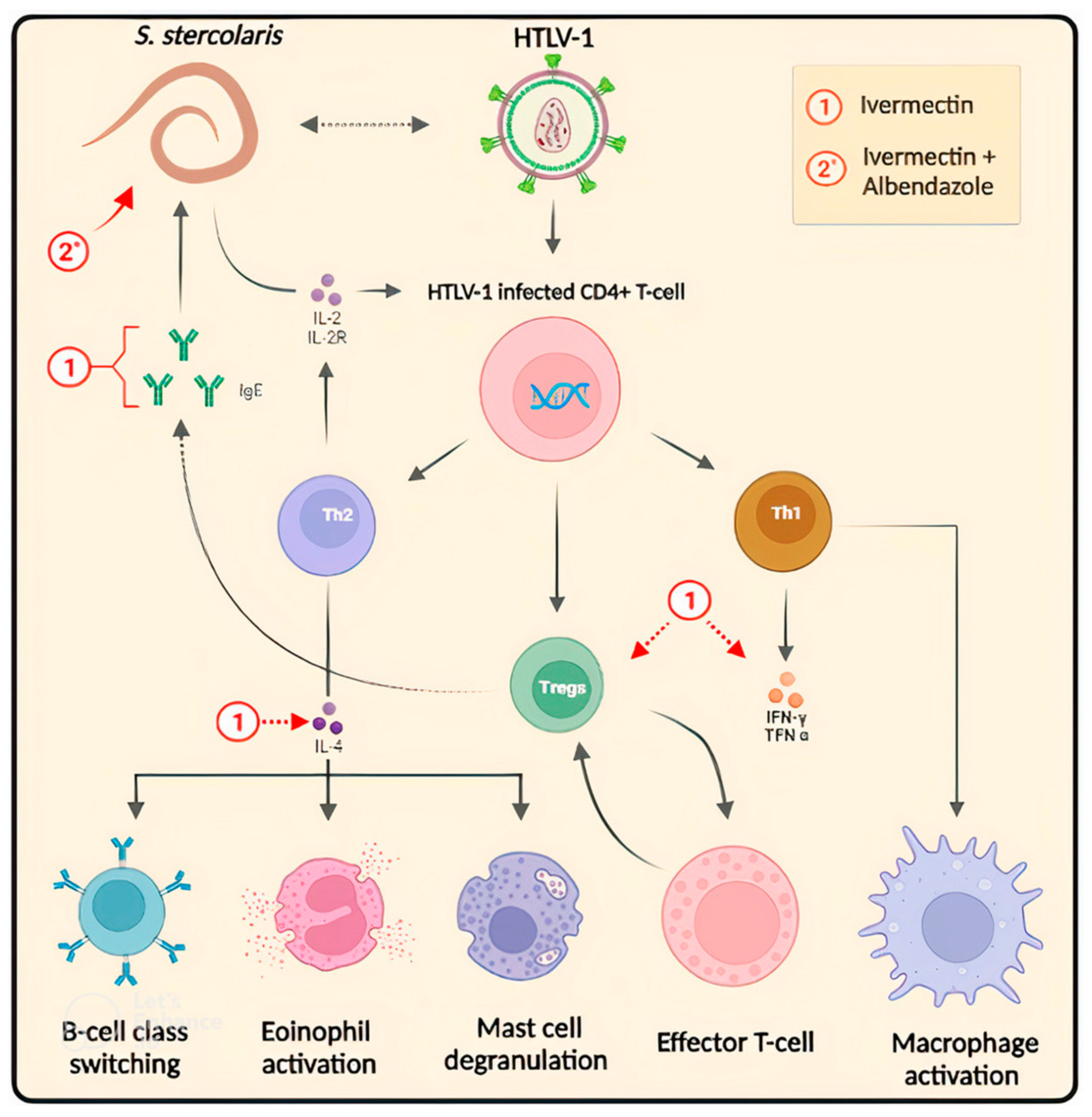 Pharmaceuticals 16 01546 g004