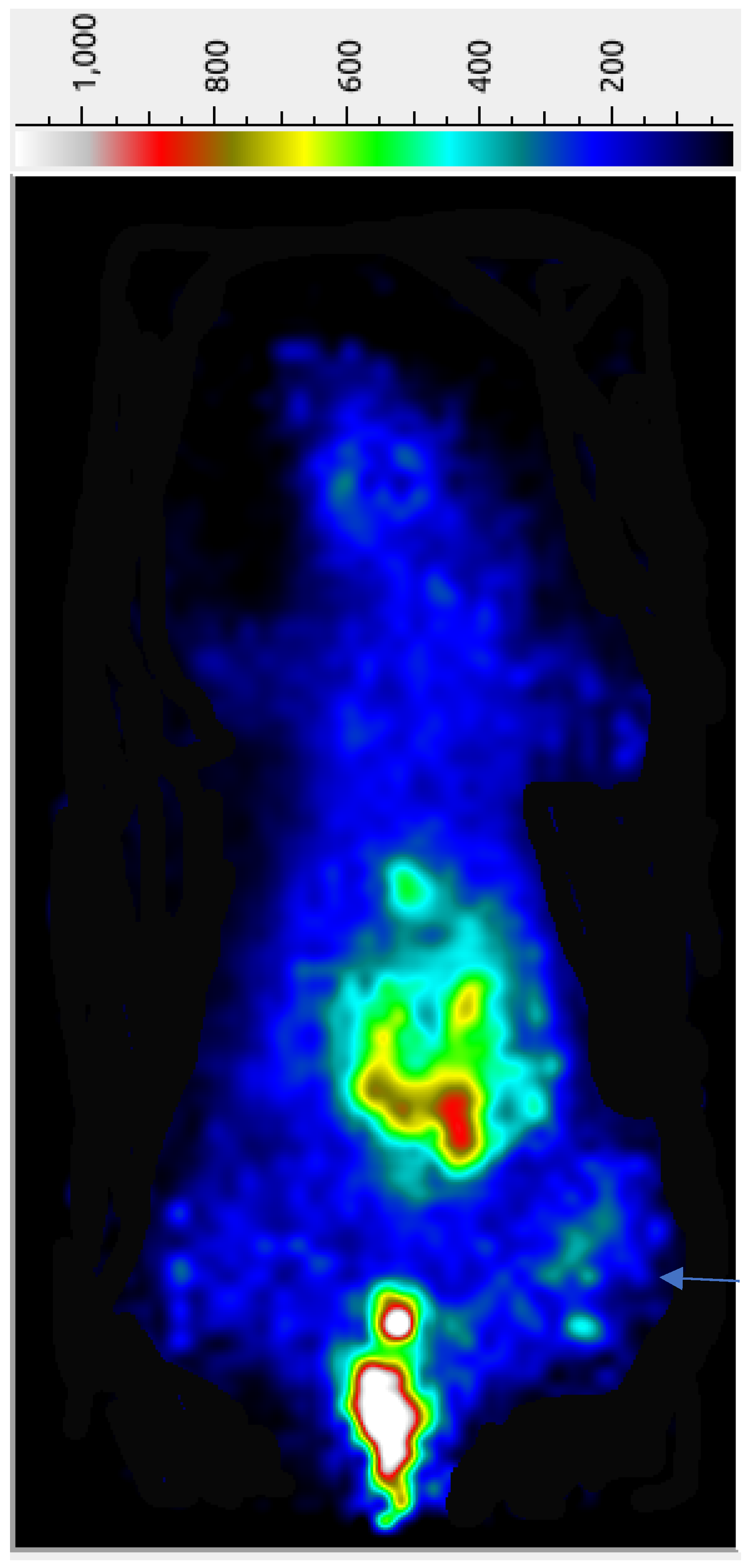 Pharmaceuticals 16 01550 g003