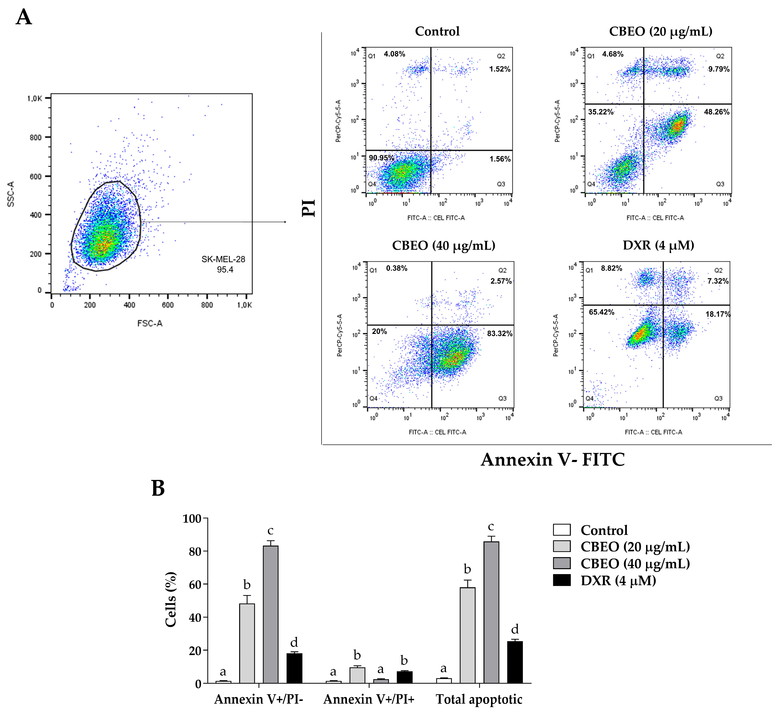 Pharmaceuticals 16 01553 g003