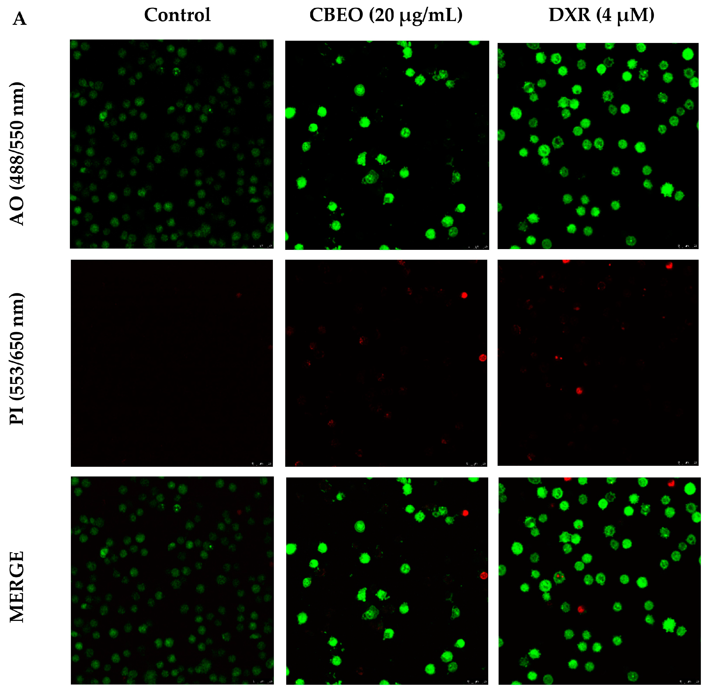 Pharmaceuticals 16 01553 g005a