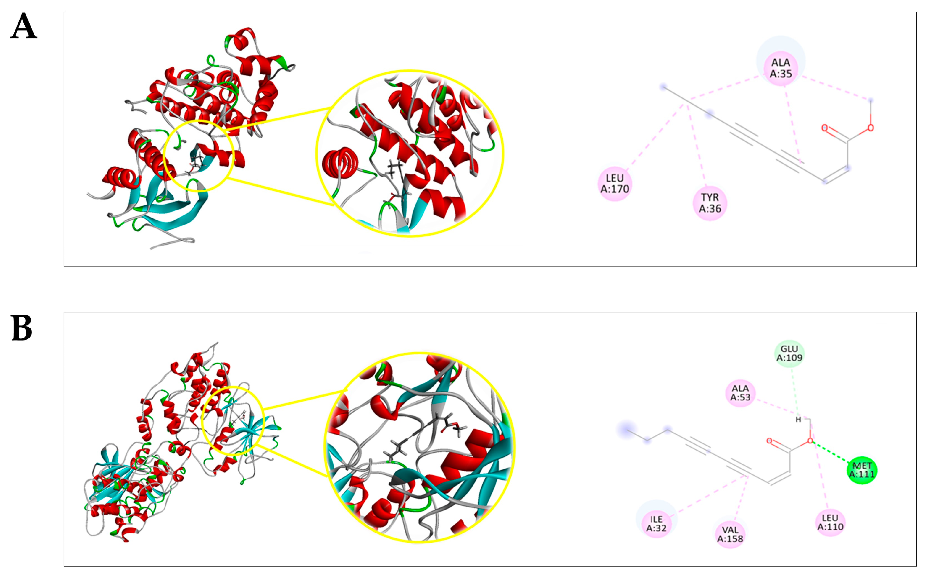 Pharmaceuticals 16 01553 g006a