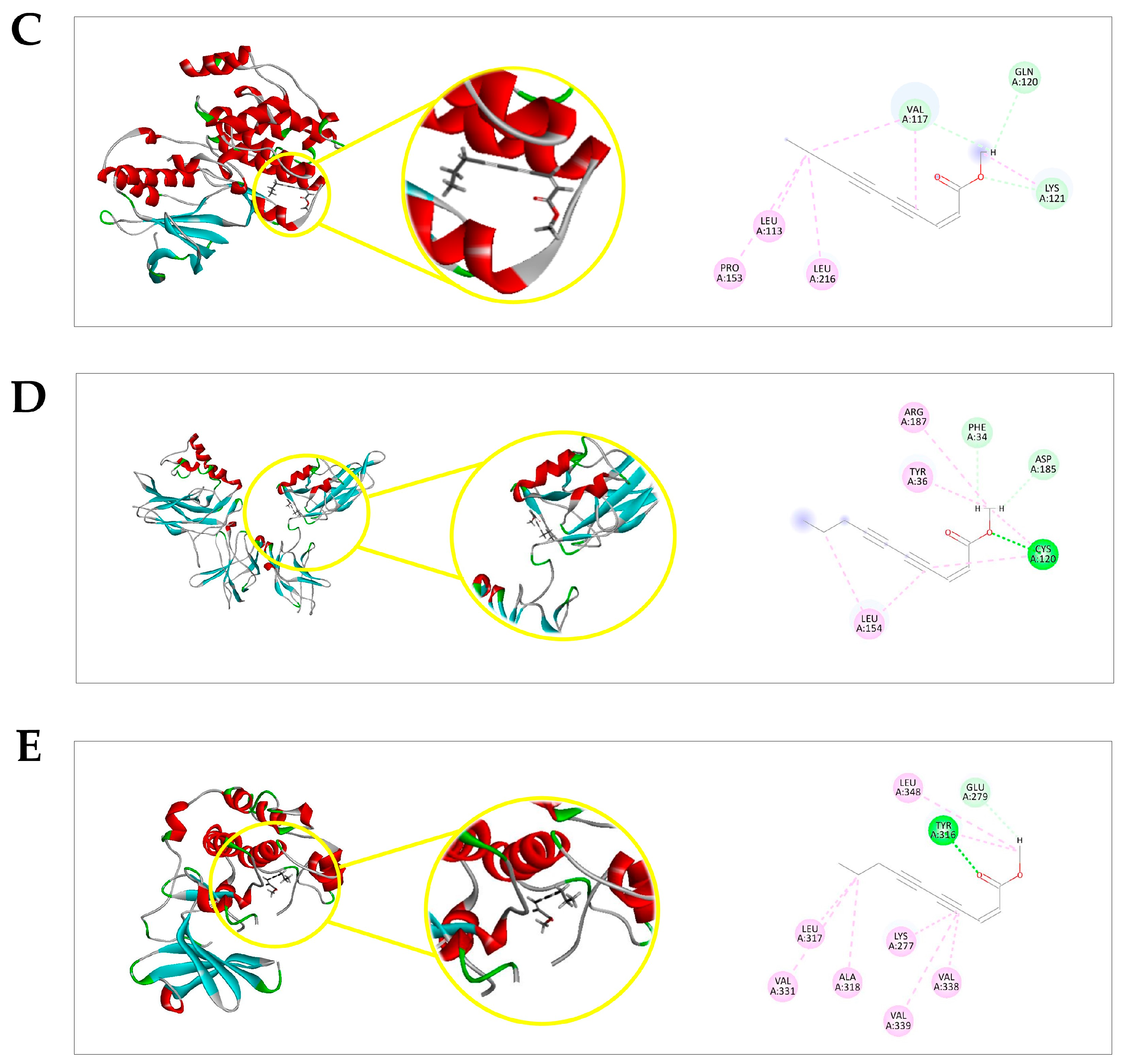 Pharmaceuticals 16 01553 g006b