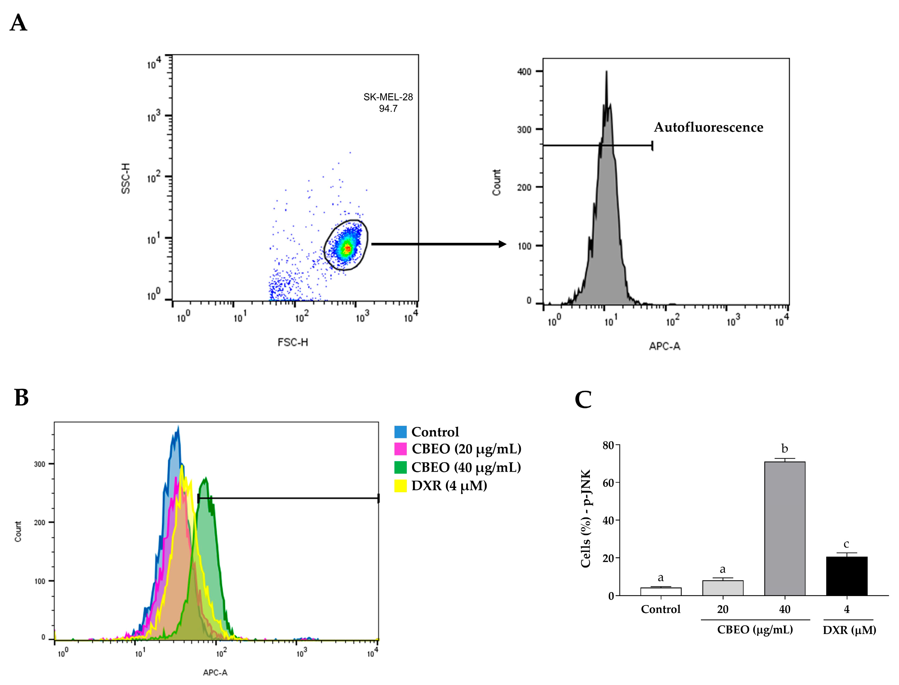 Pharmaceuticals 16 01553 g008